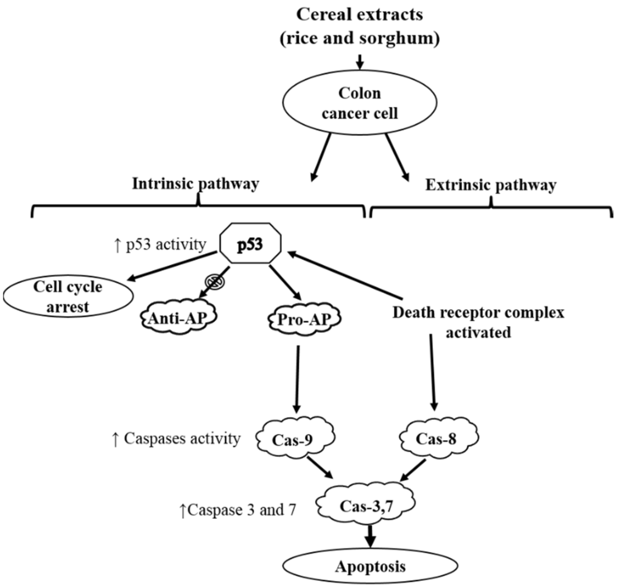 Molecules 24 02465 g005