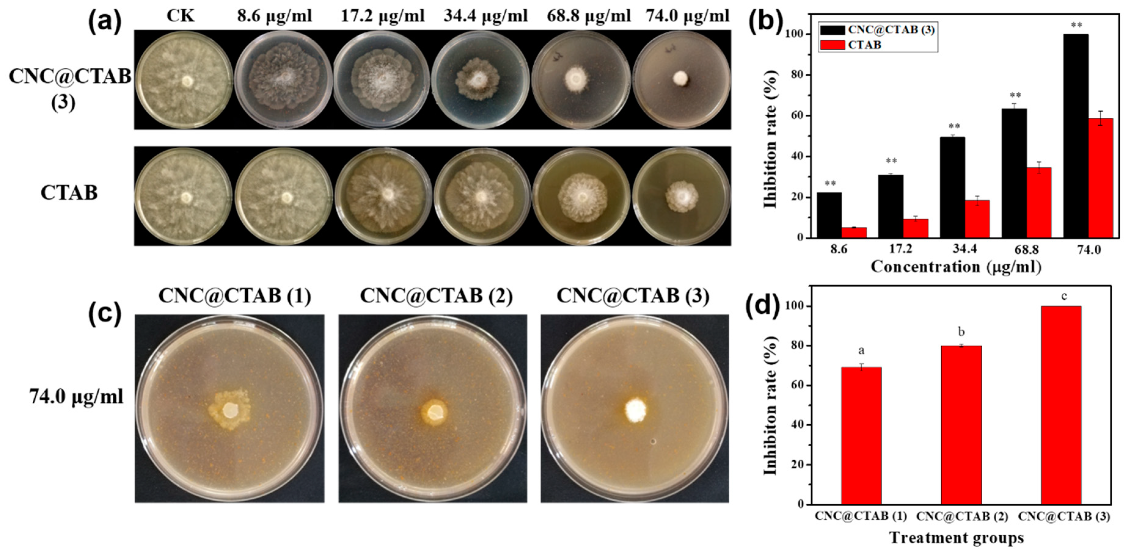 Molecules 24 02467 g002 Molecules 24 02467 g002