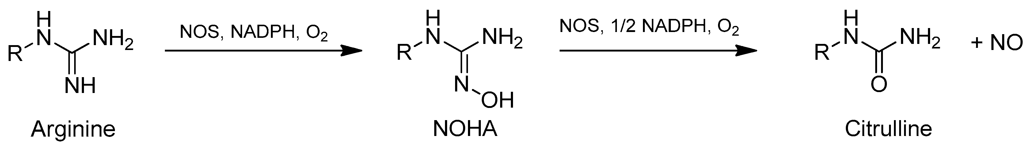 Molecules 24 02470 g002