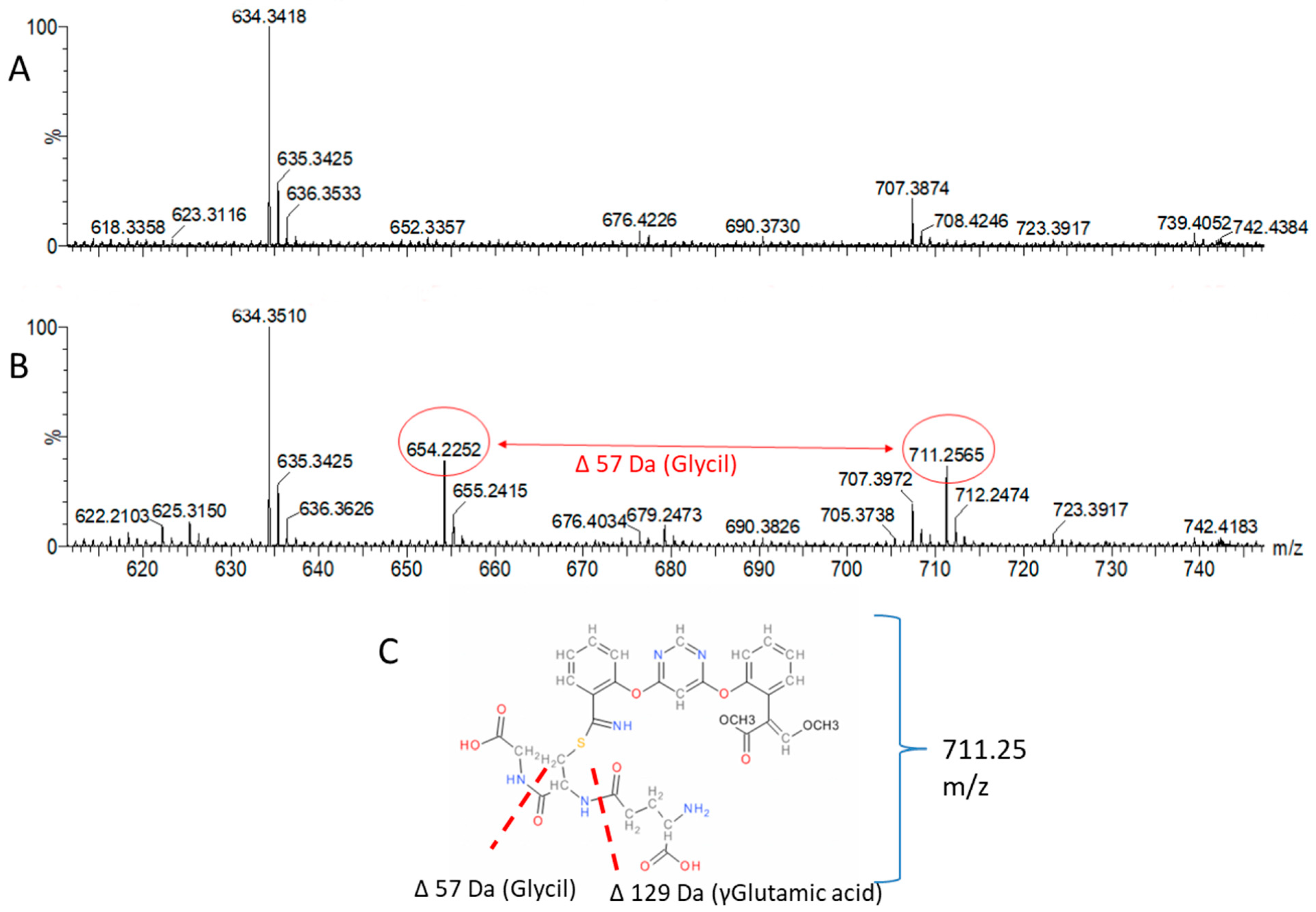 Molecules 24 02473 g004