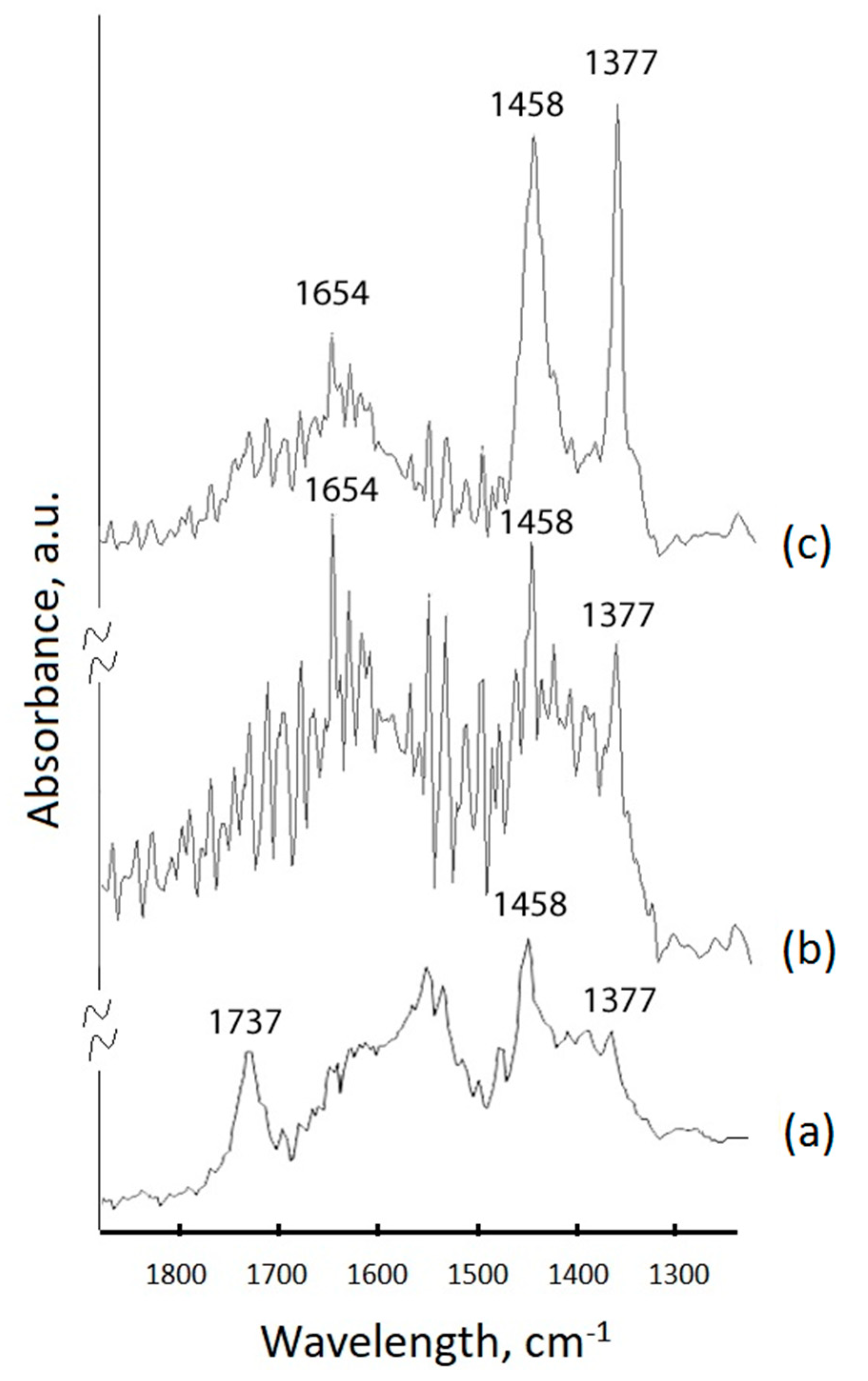 Molecules 24 02476 g007 Molecules 24 02476 g007