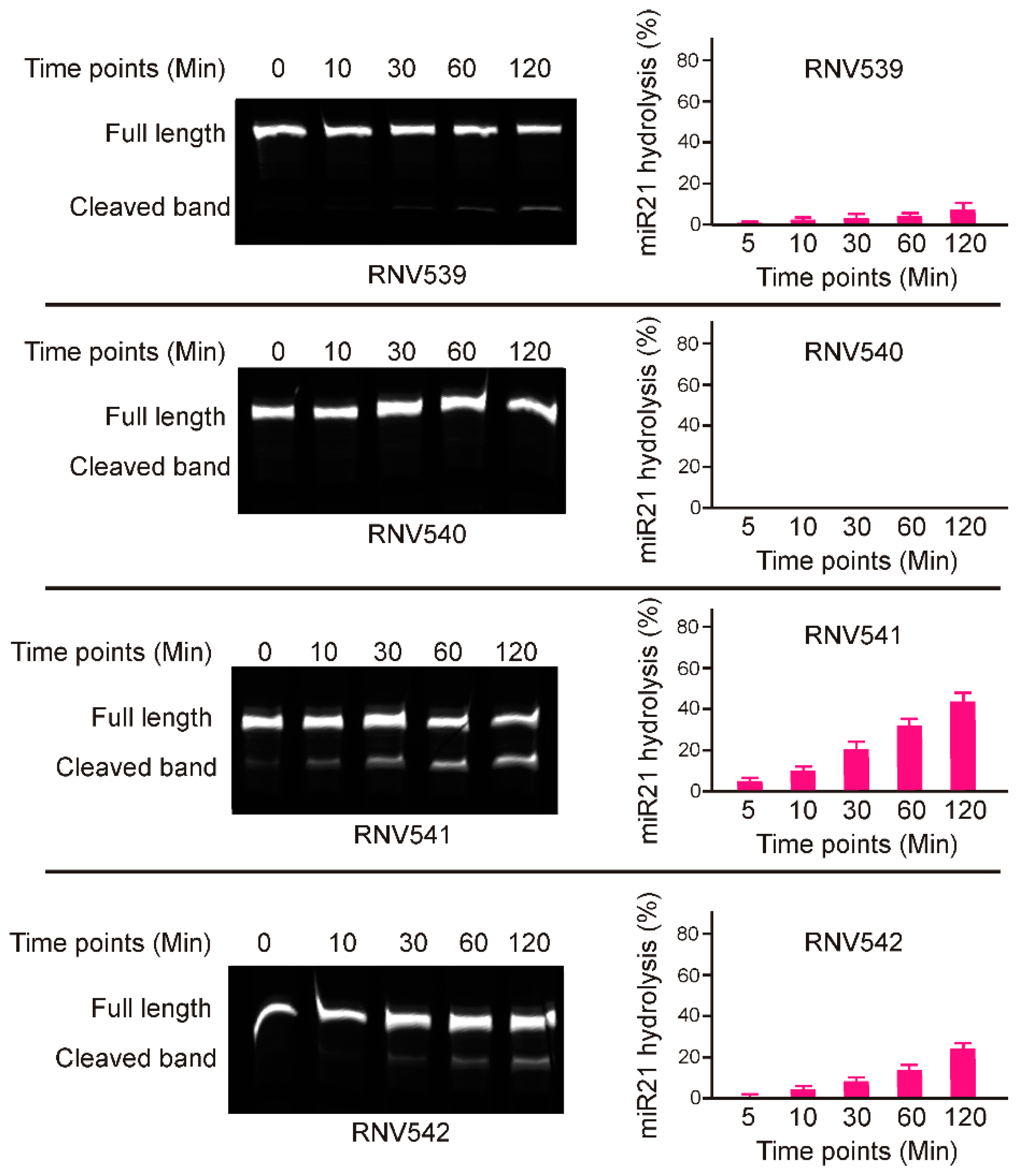 Molecules 24 02489 g002