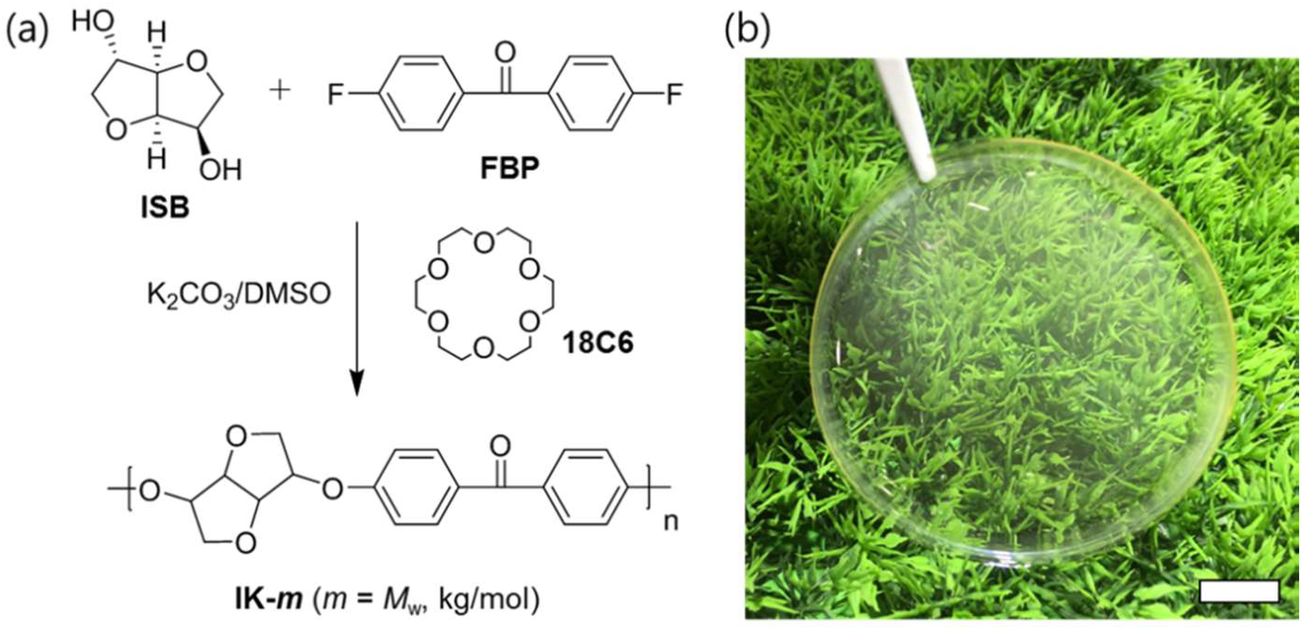 Molecules 24 02492 g001