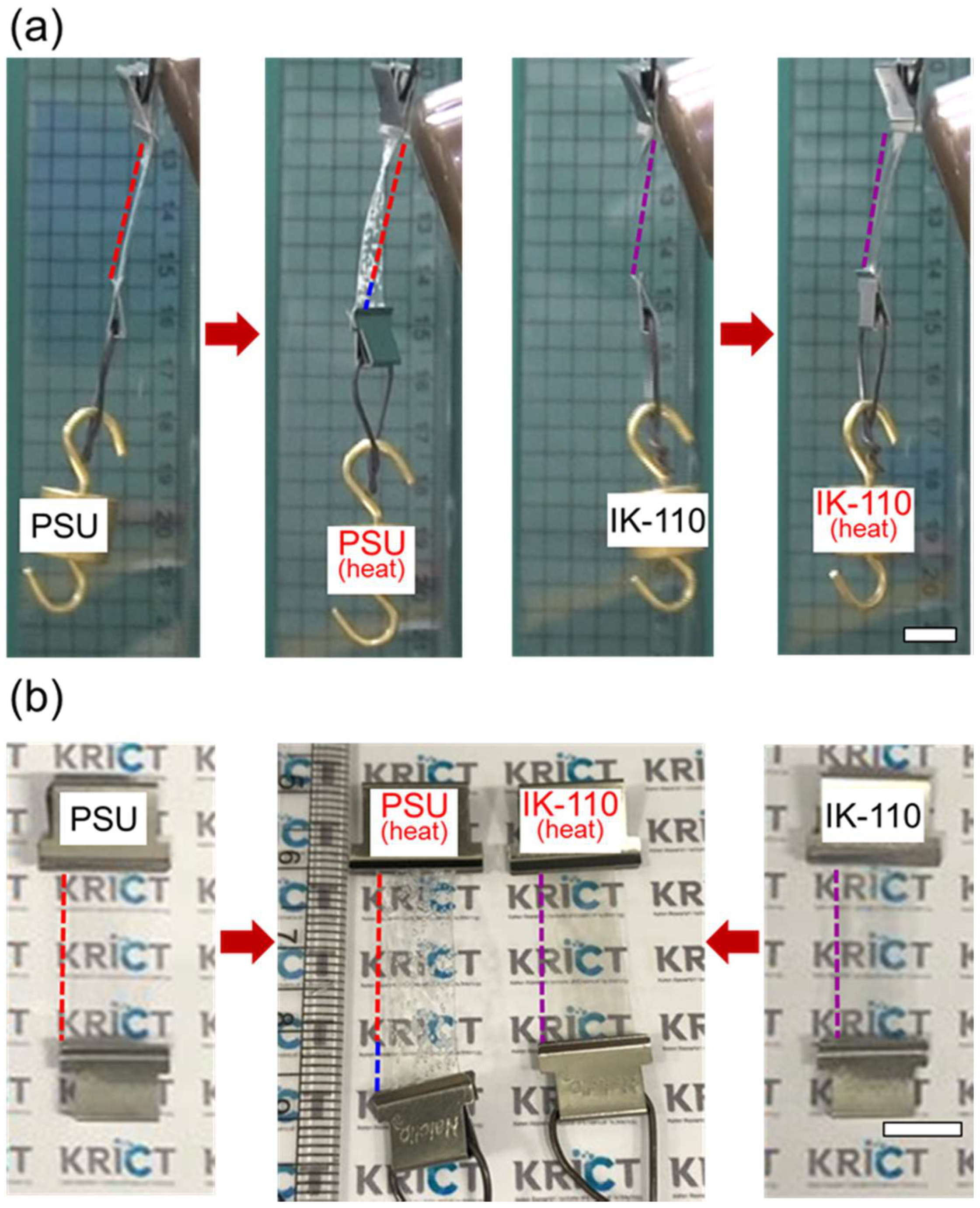 Molecules 24 02492 g007