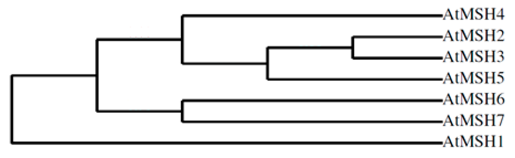 Molecules 24 02493 g001 Molecules 24 02493 g001
