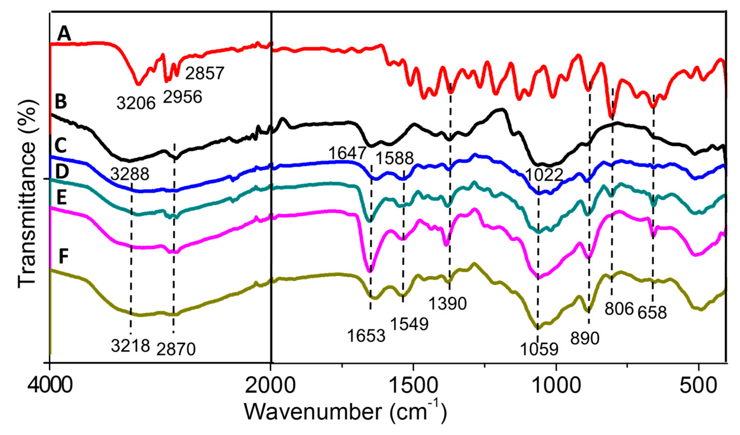 Molecules 24 02498 g002