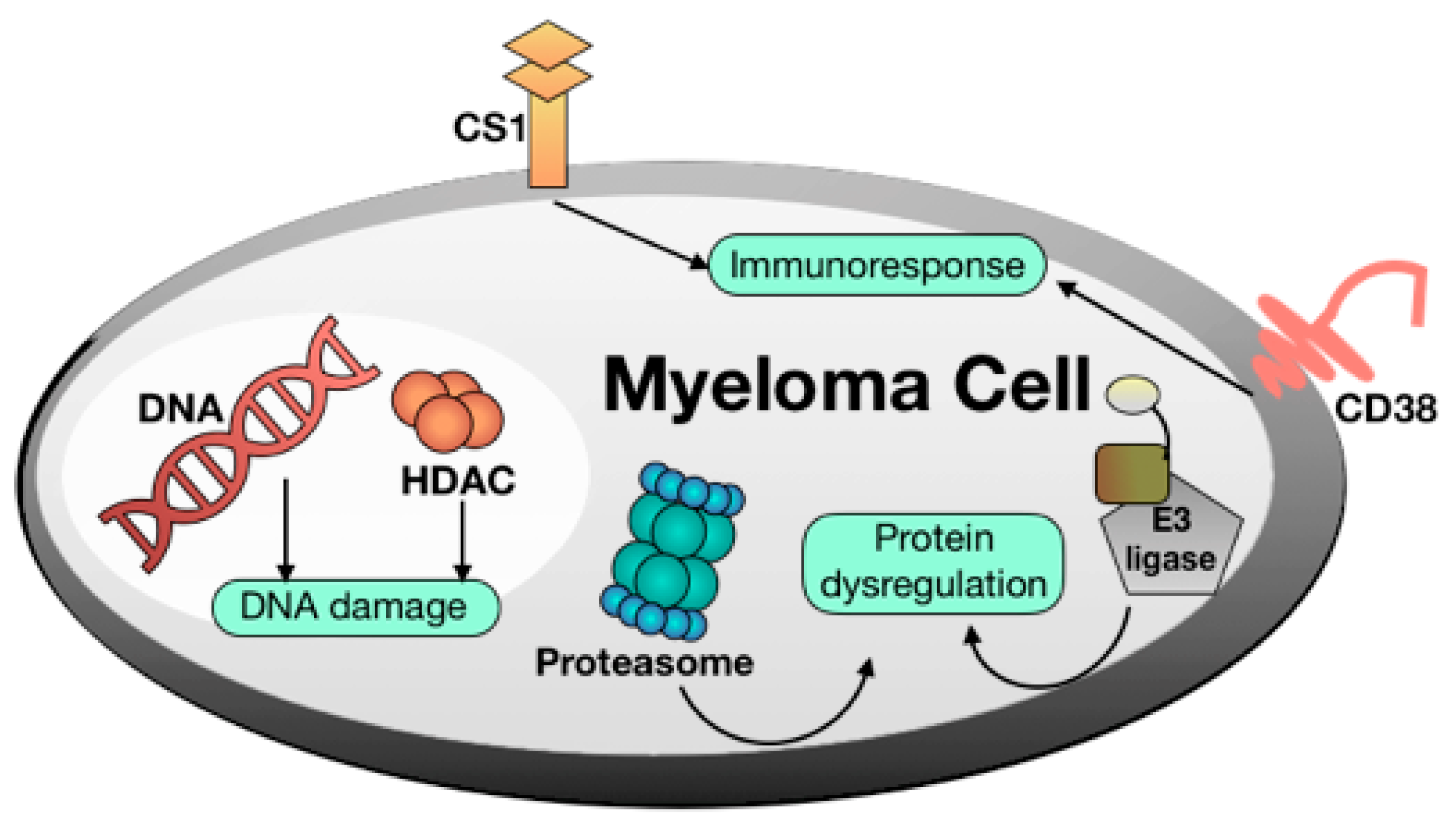 Molecules 24 02500 g001