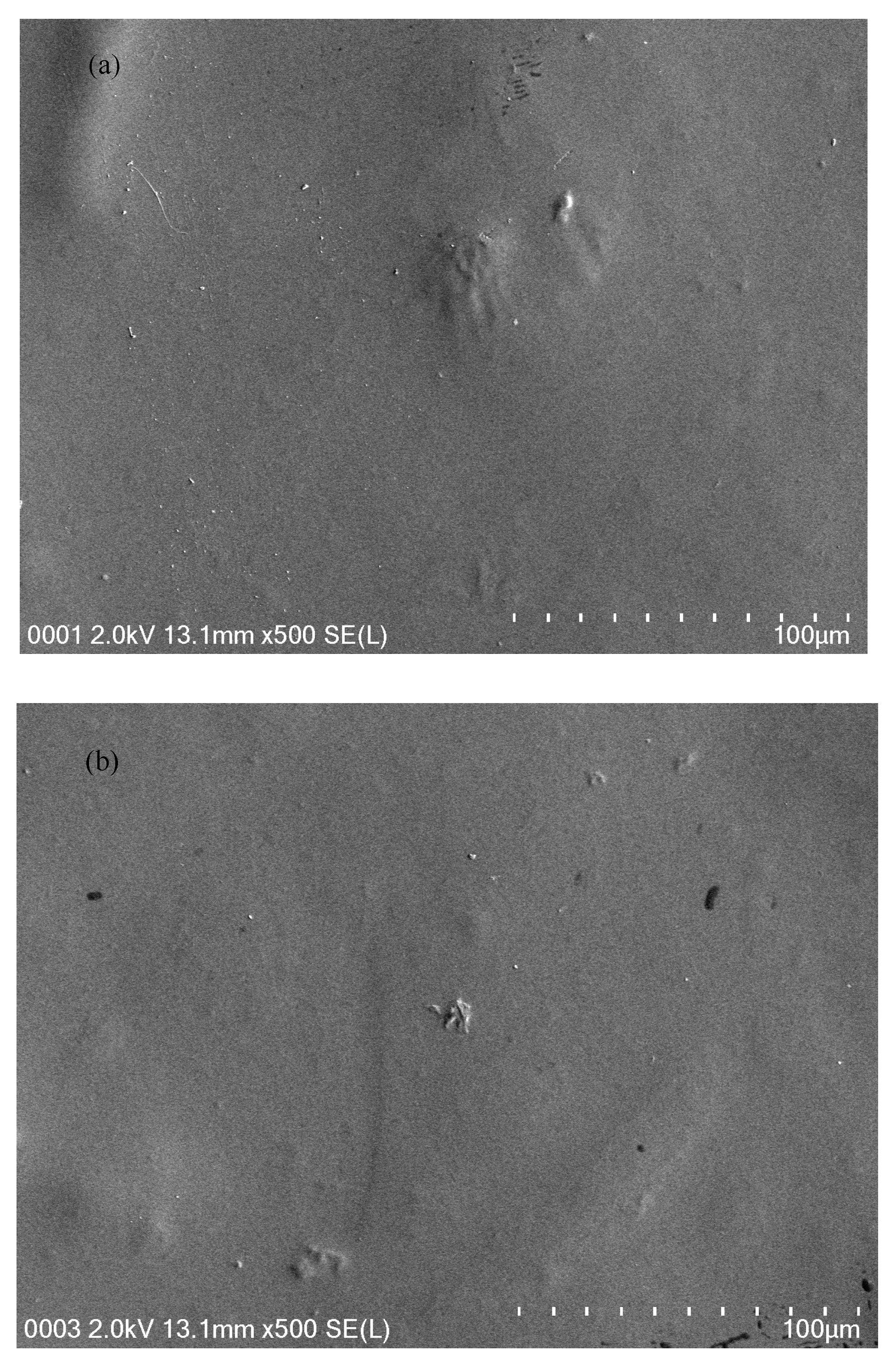 Molecules 24 02503 g004a