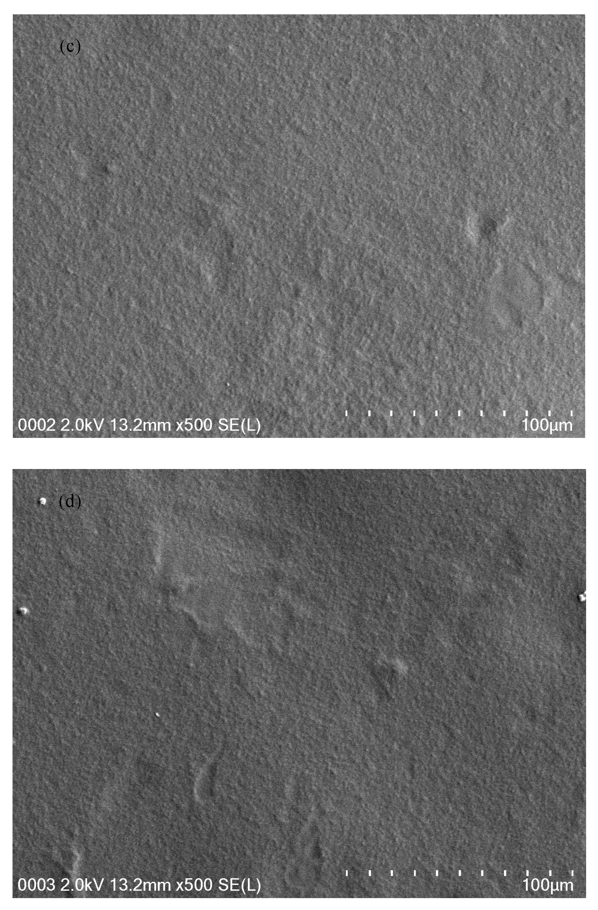 Molecules 24 02503 g004b