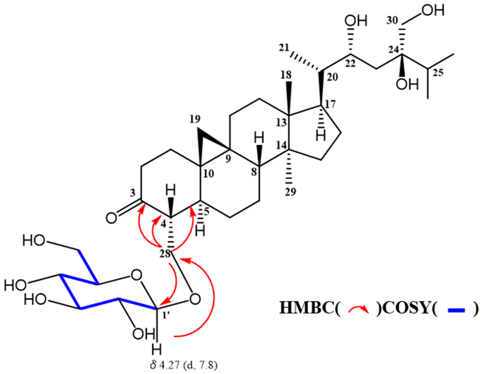 Molecules 24 02504 g003