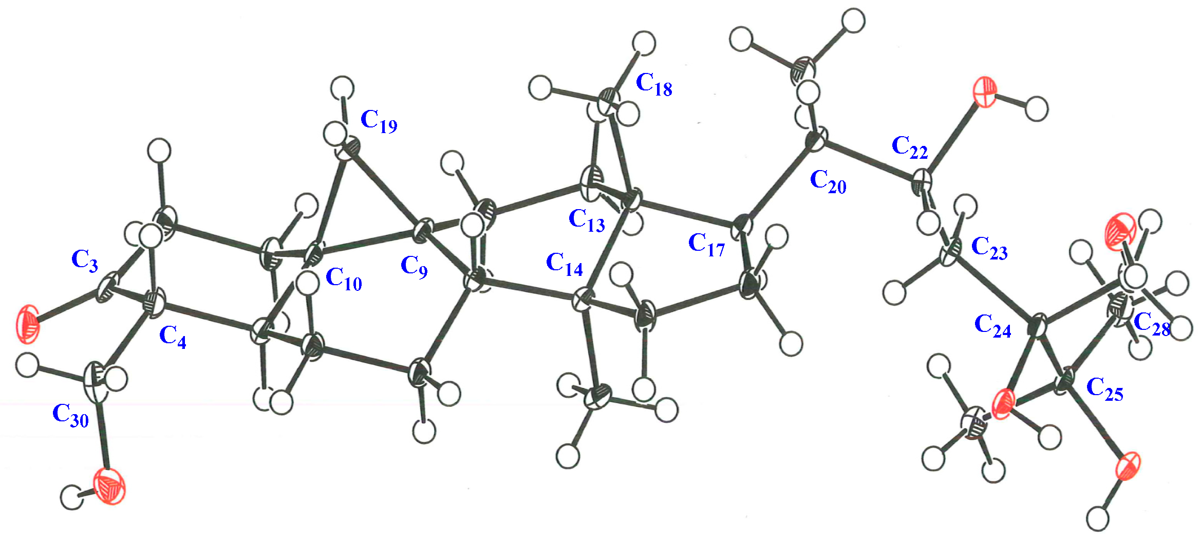 Molecules 24 02504 g007
