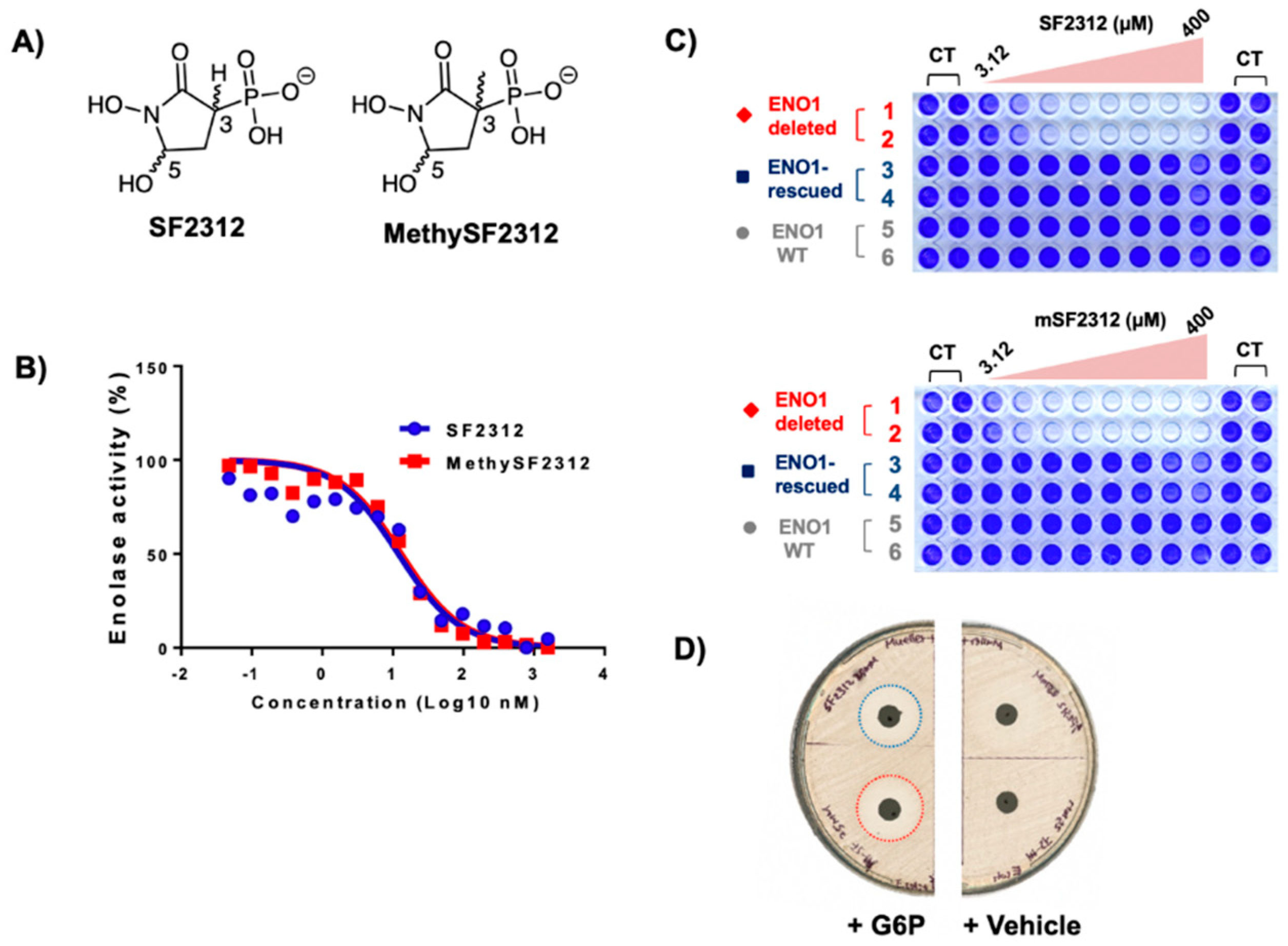 Molecules 24 02510 g003