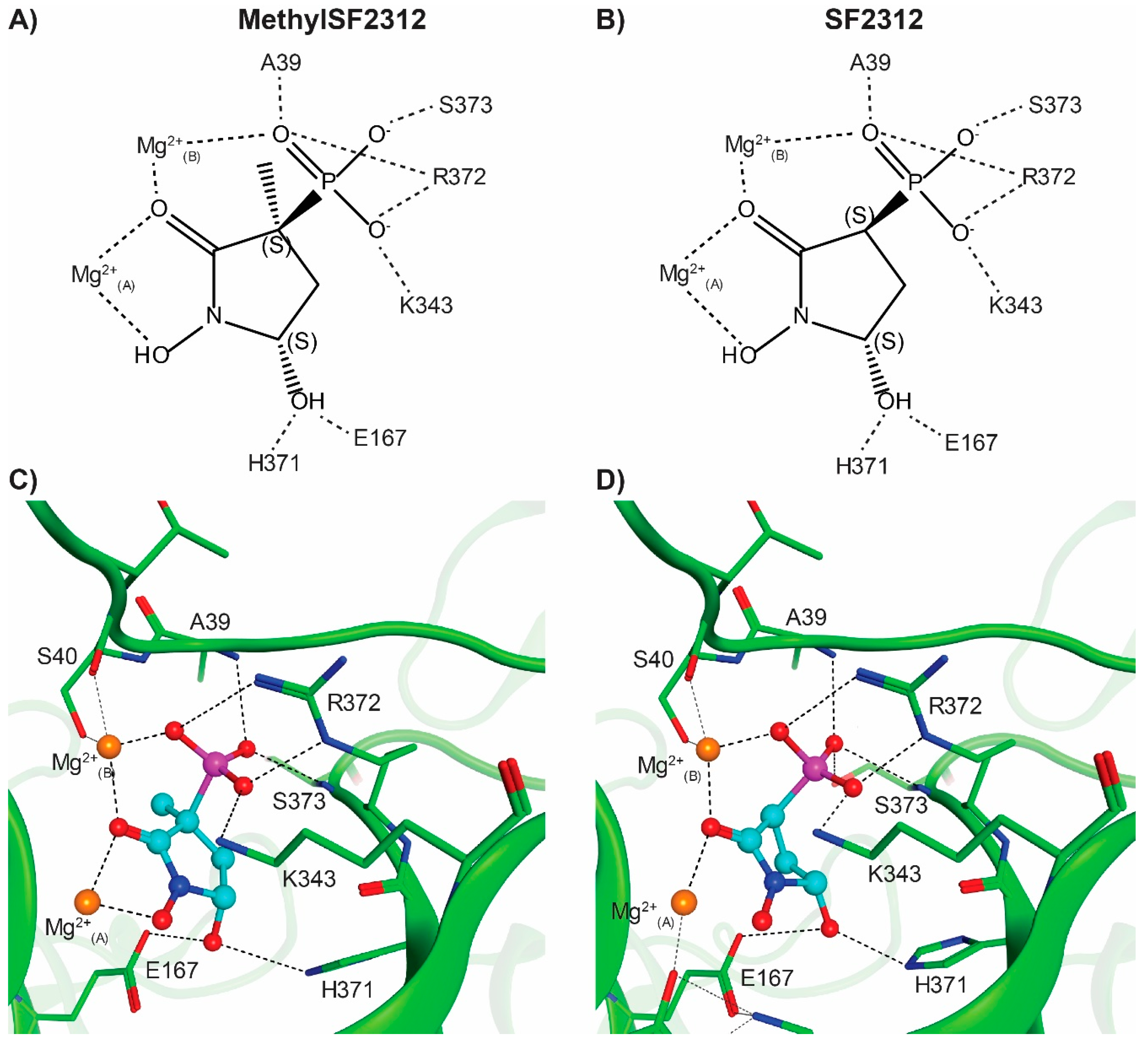 Molecules 24 02510 g008