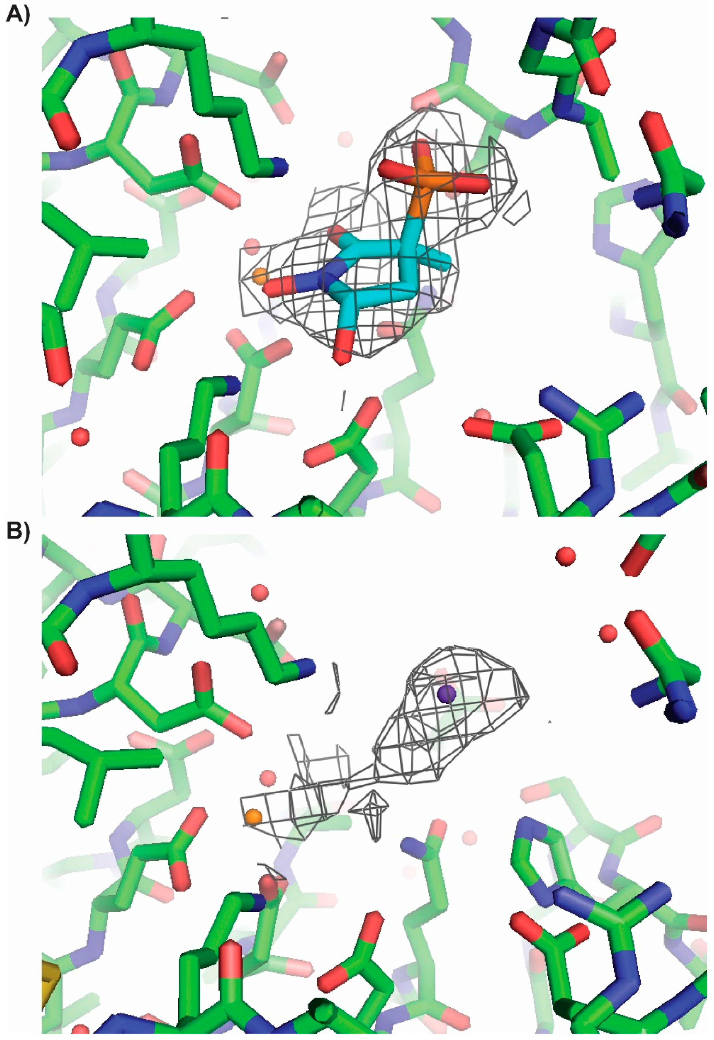 Molecules 24 02510 g009