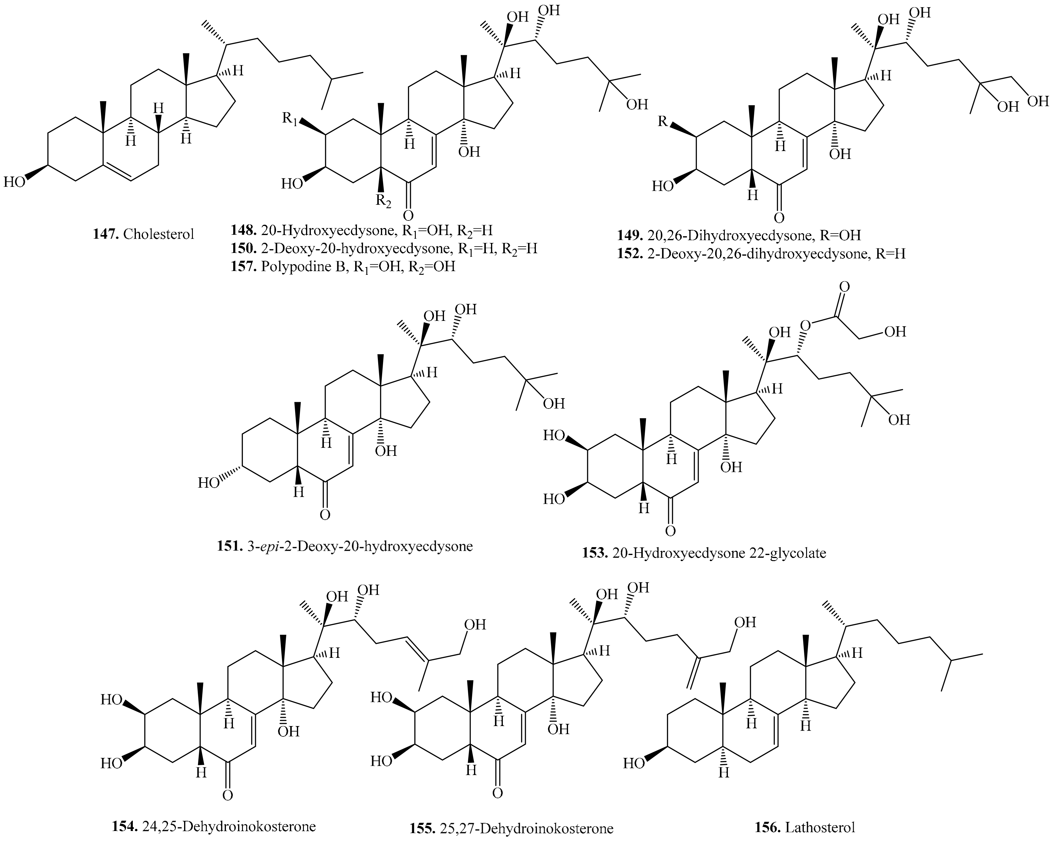 Molecules 24 02512 g022