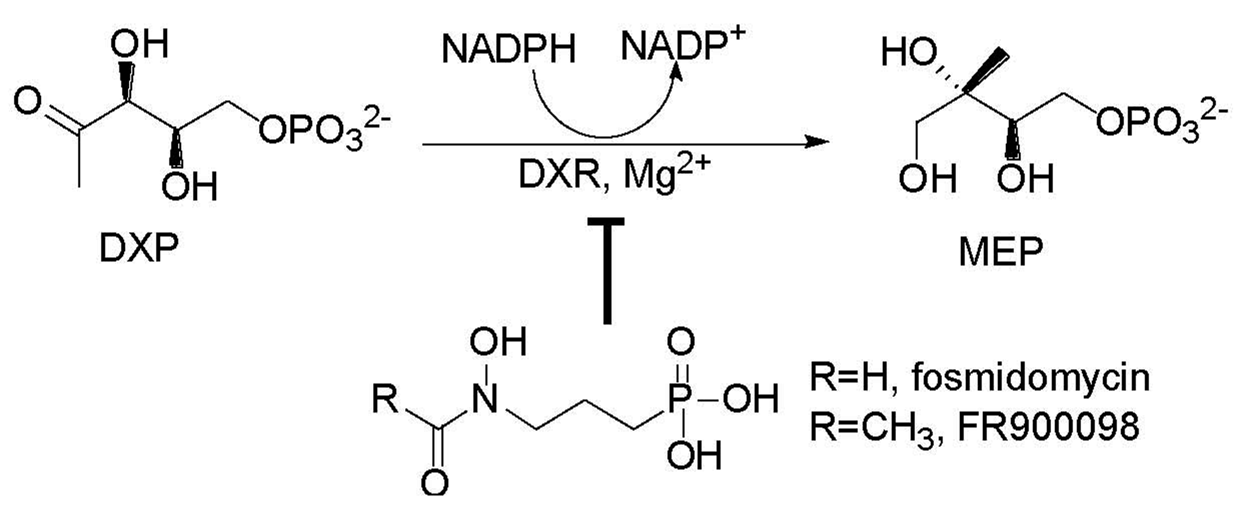 Molecules 24 02518 g001
