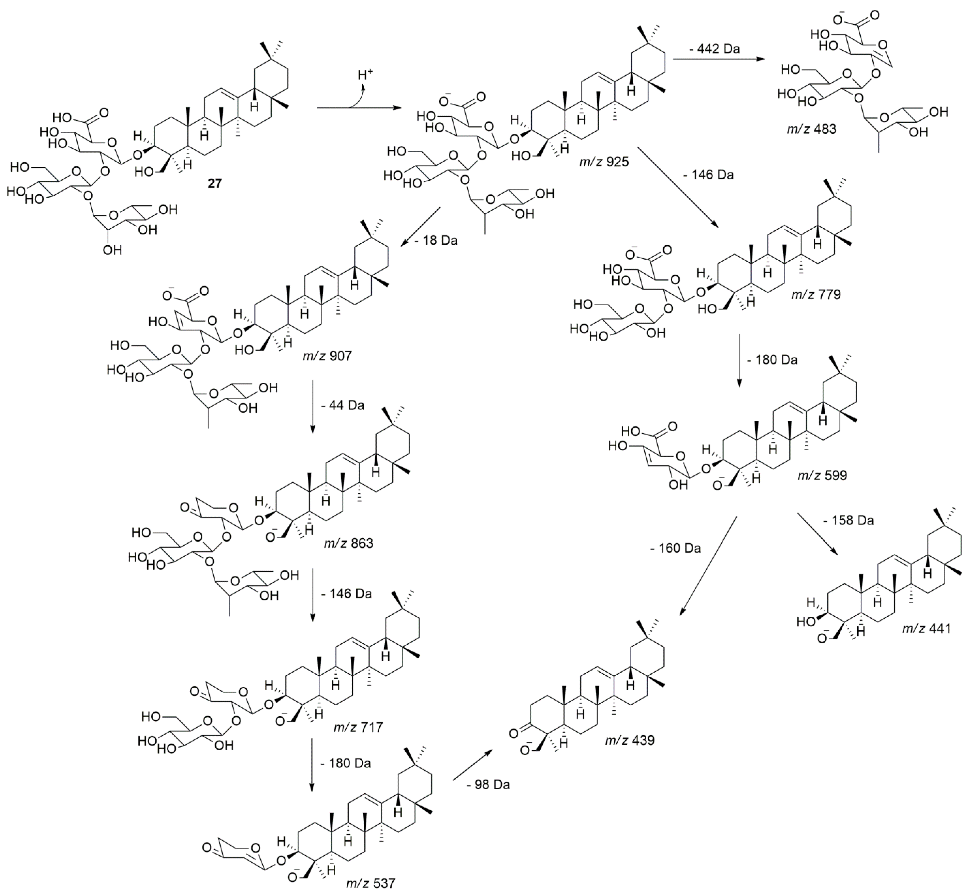 Molecules 24 02519 g003