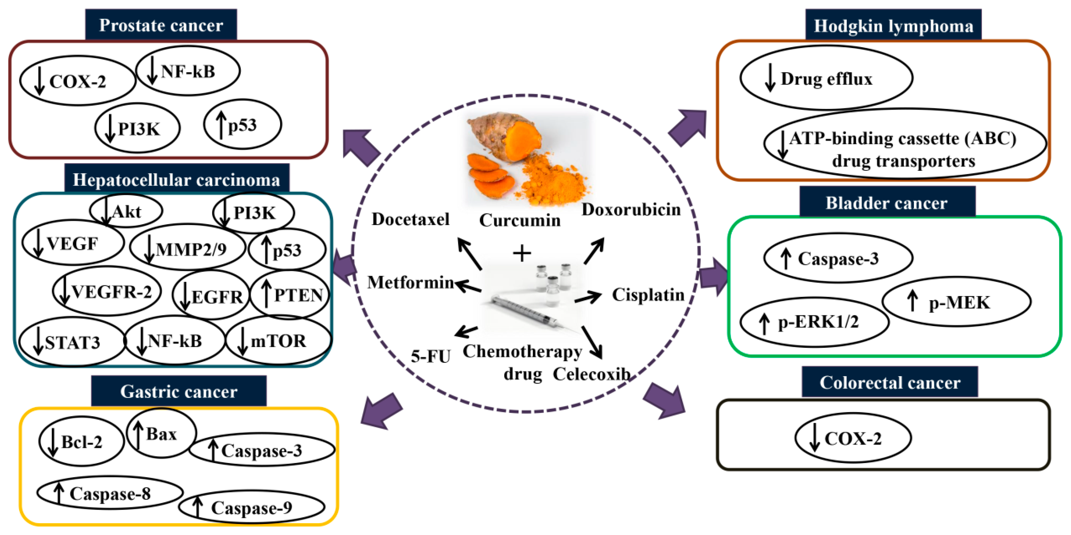 Molecules 24 02527 g001