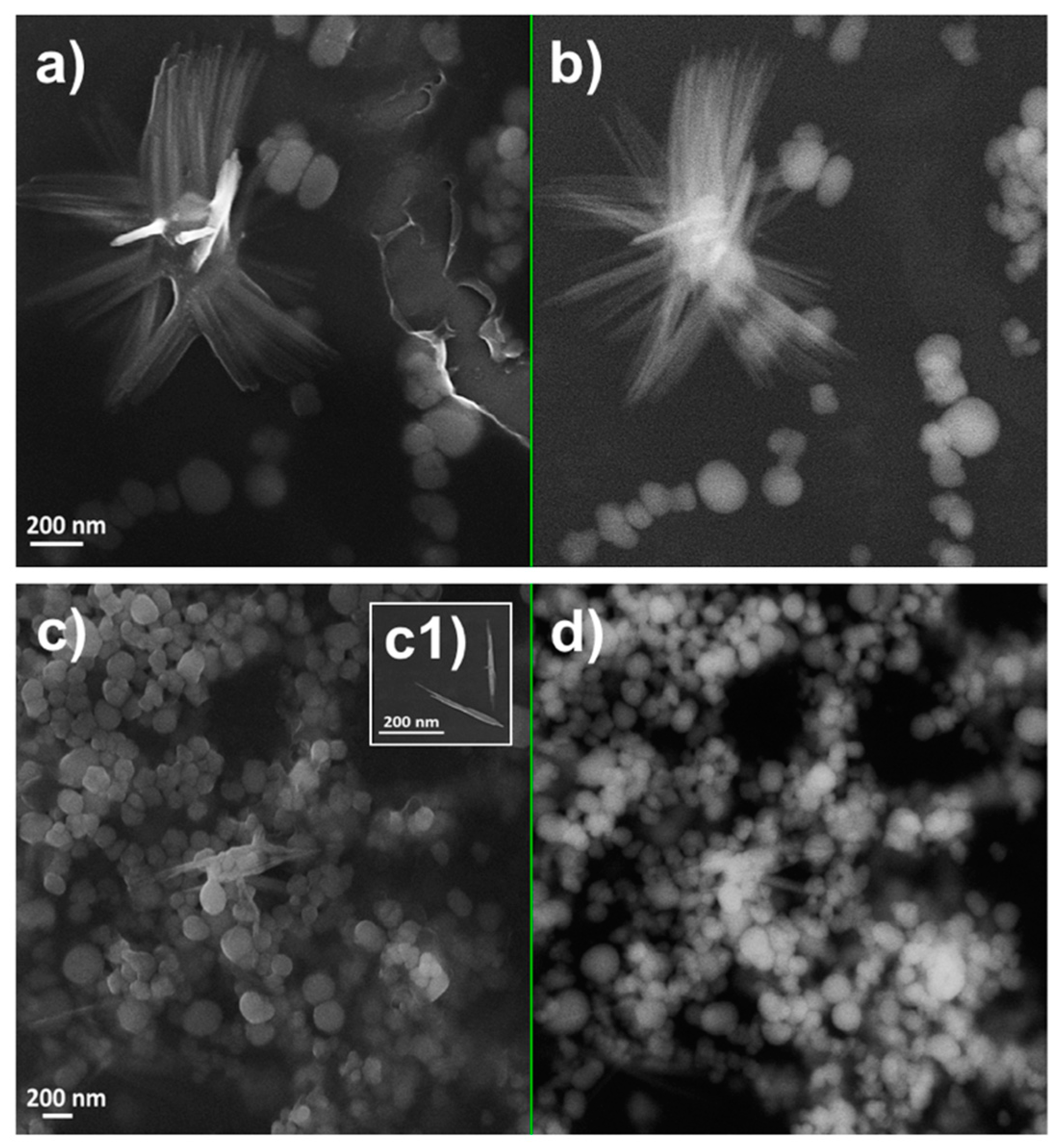 Molecules 24 02532 g005