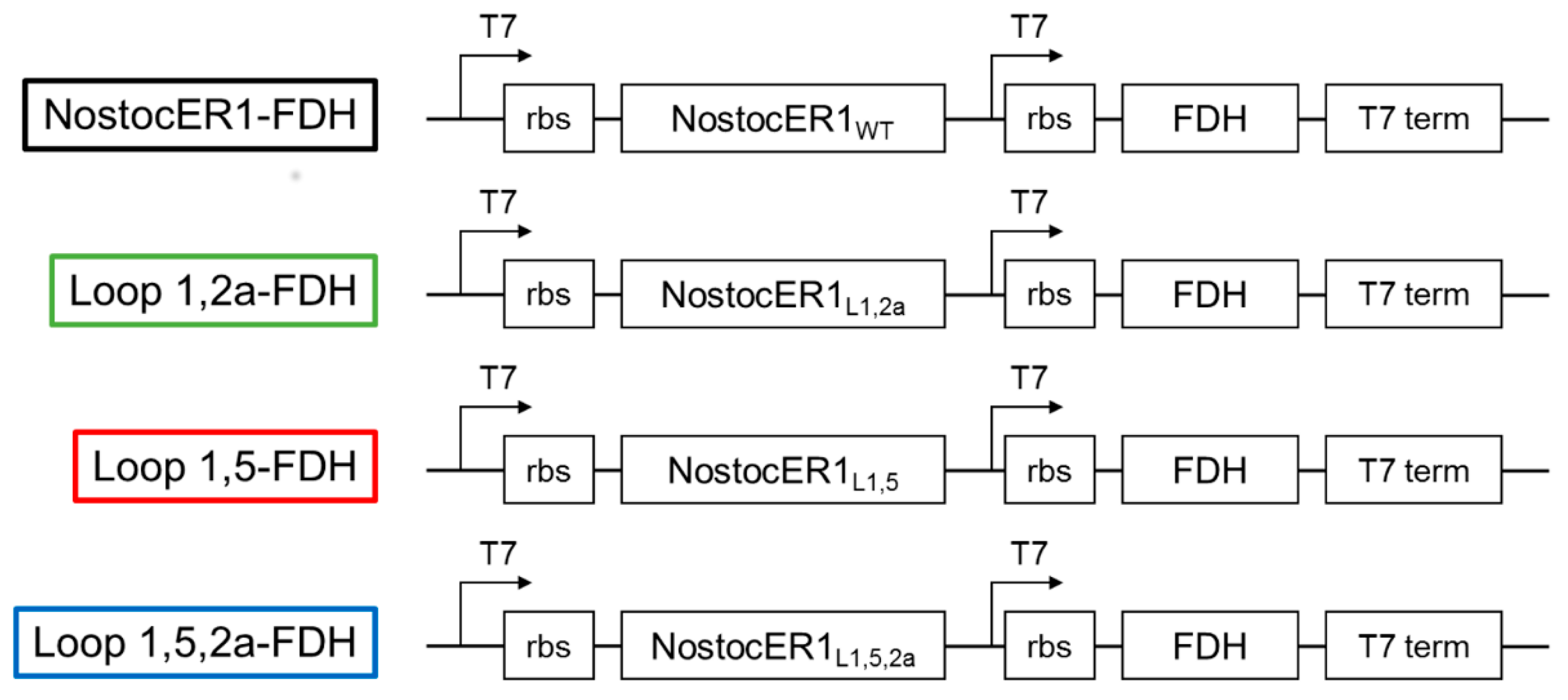 Molecules 24 02550 g001