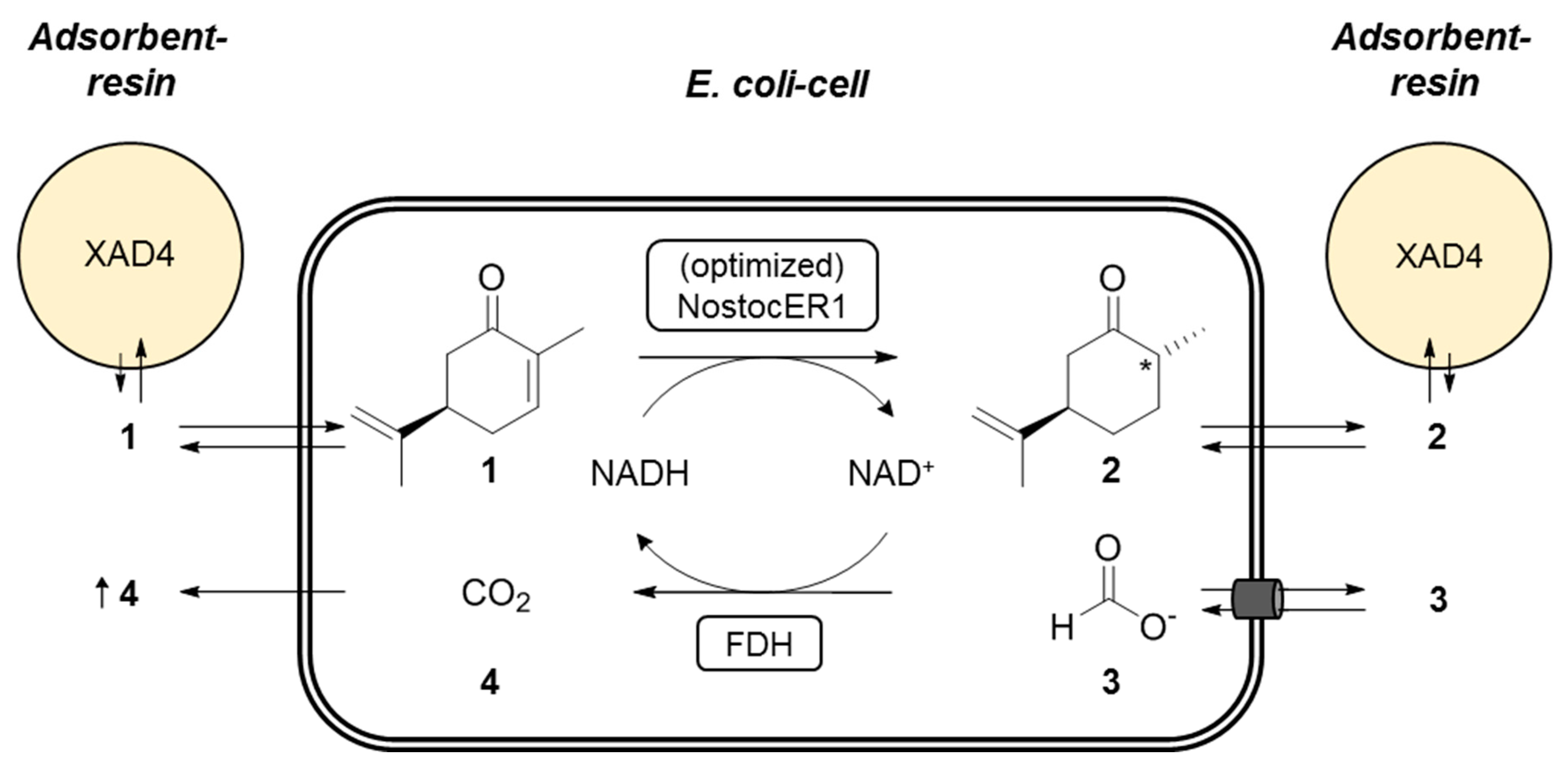 Molecules 24 02550 g004