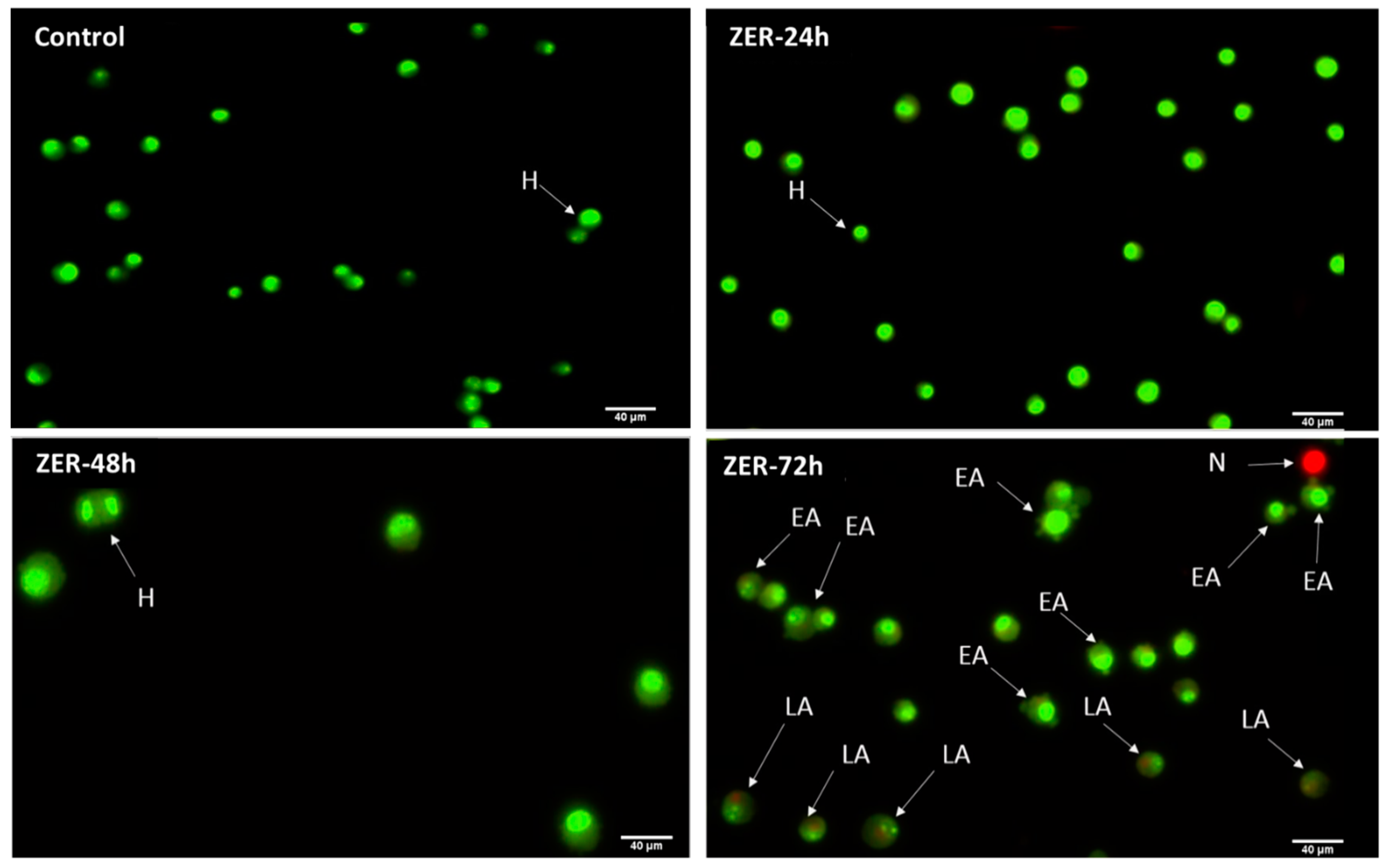 Molecules 24 02554 g005