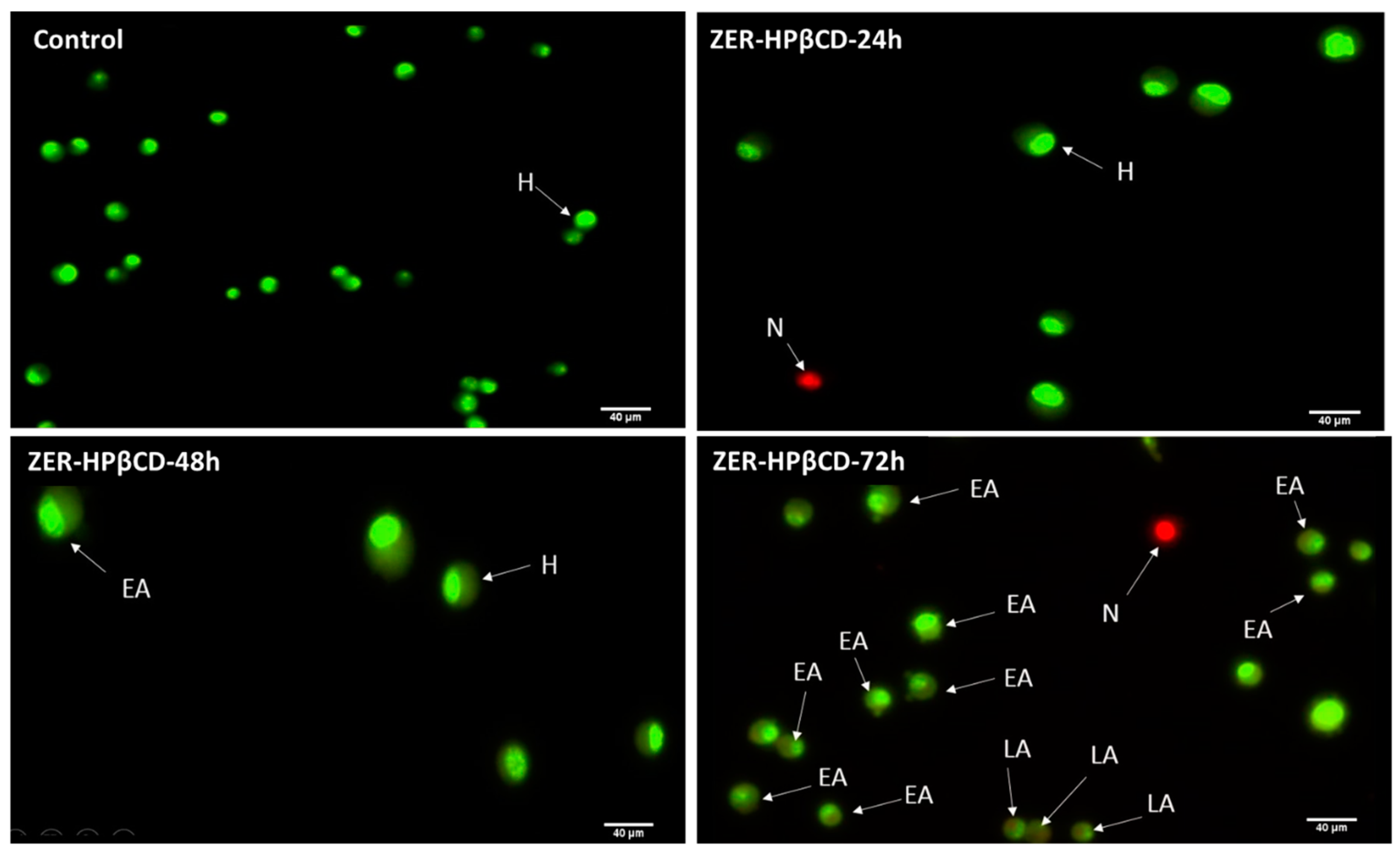 Molecules 24 02554 g006