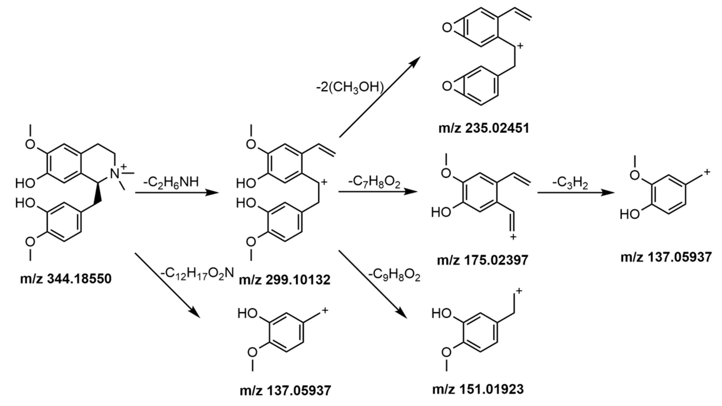 Molecules 24 02561 g004