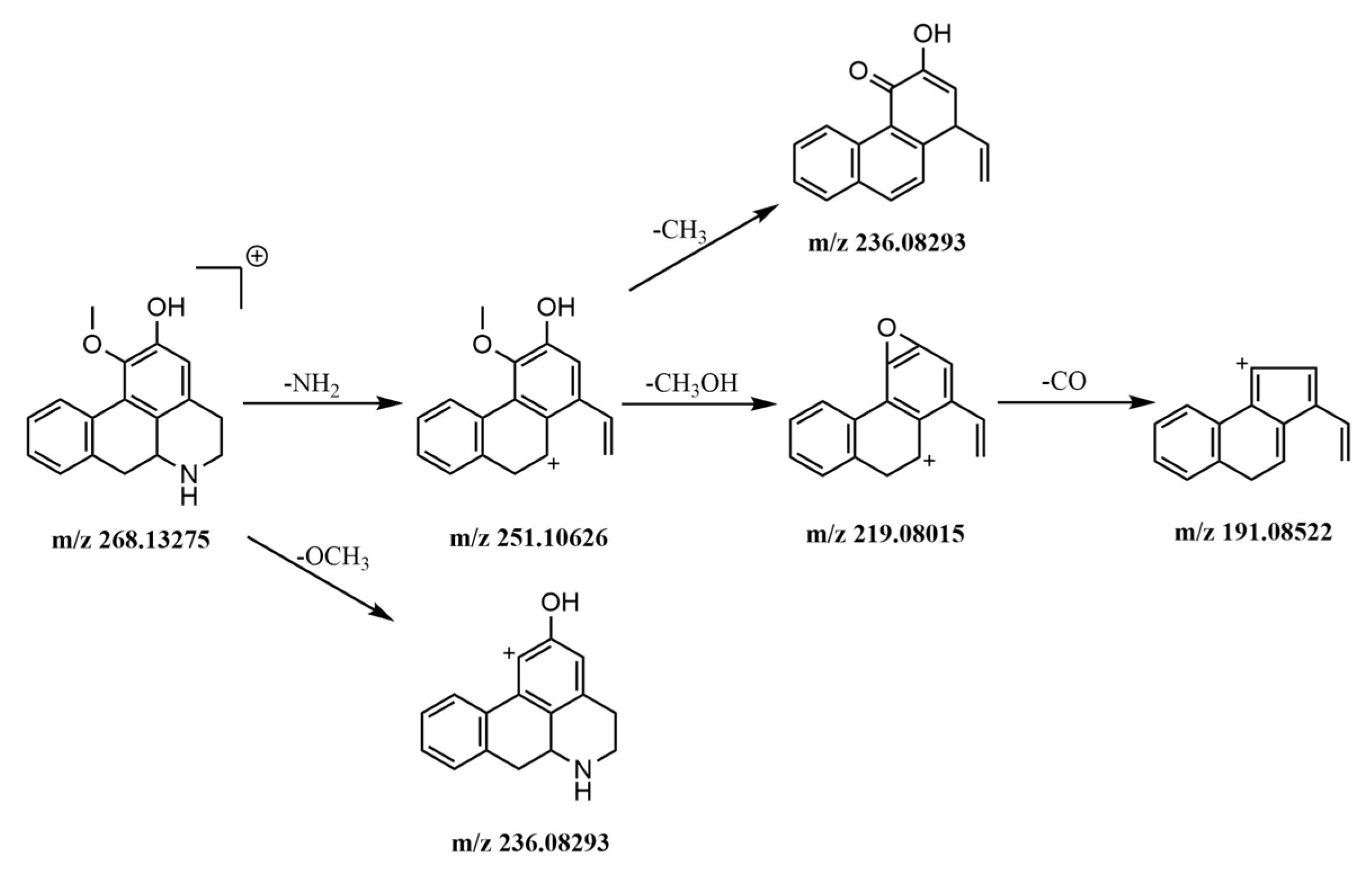 Molecules 24 02561 g005
