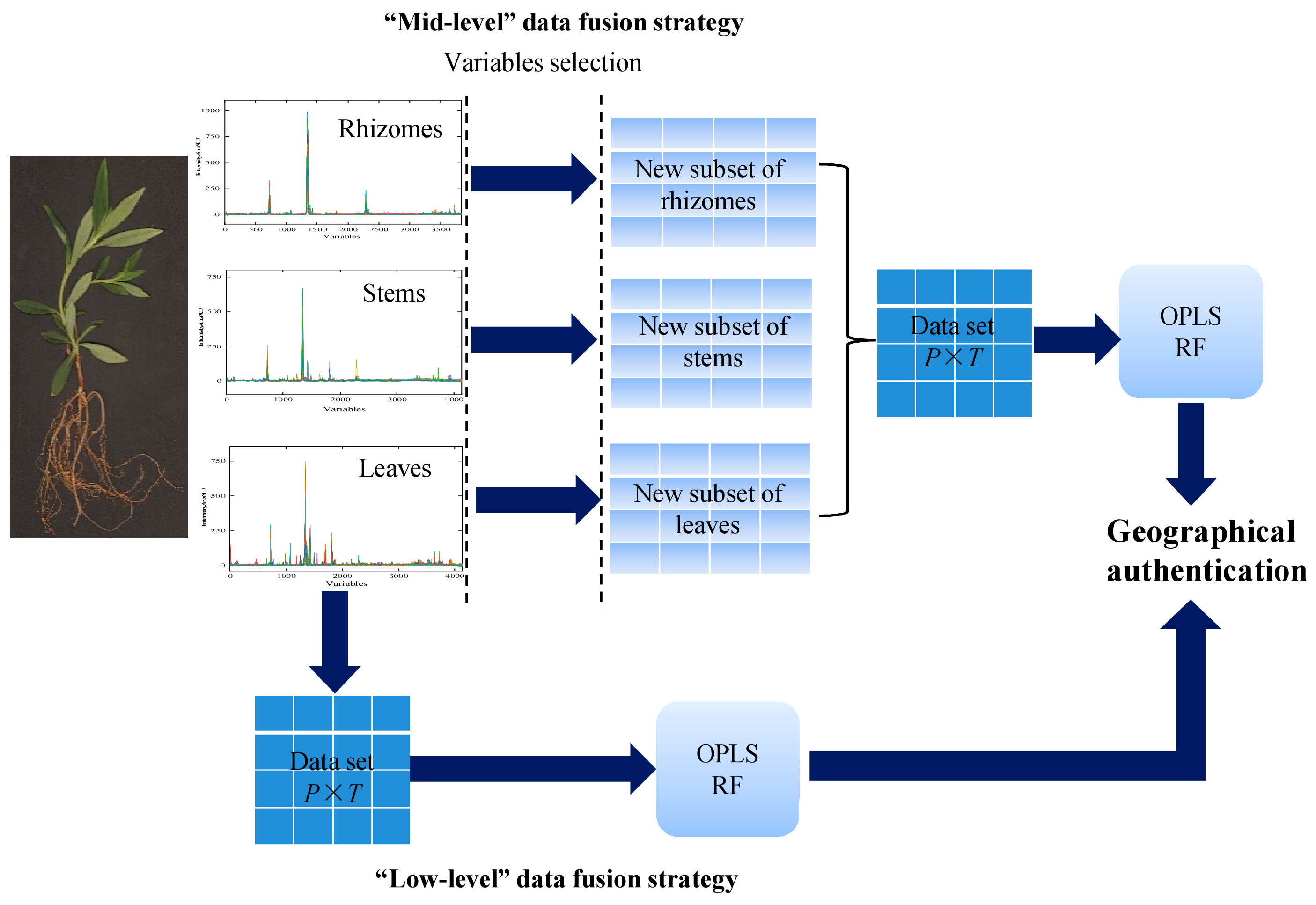 Molecules 24 02562 g011