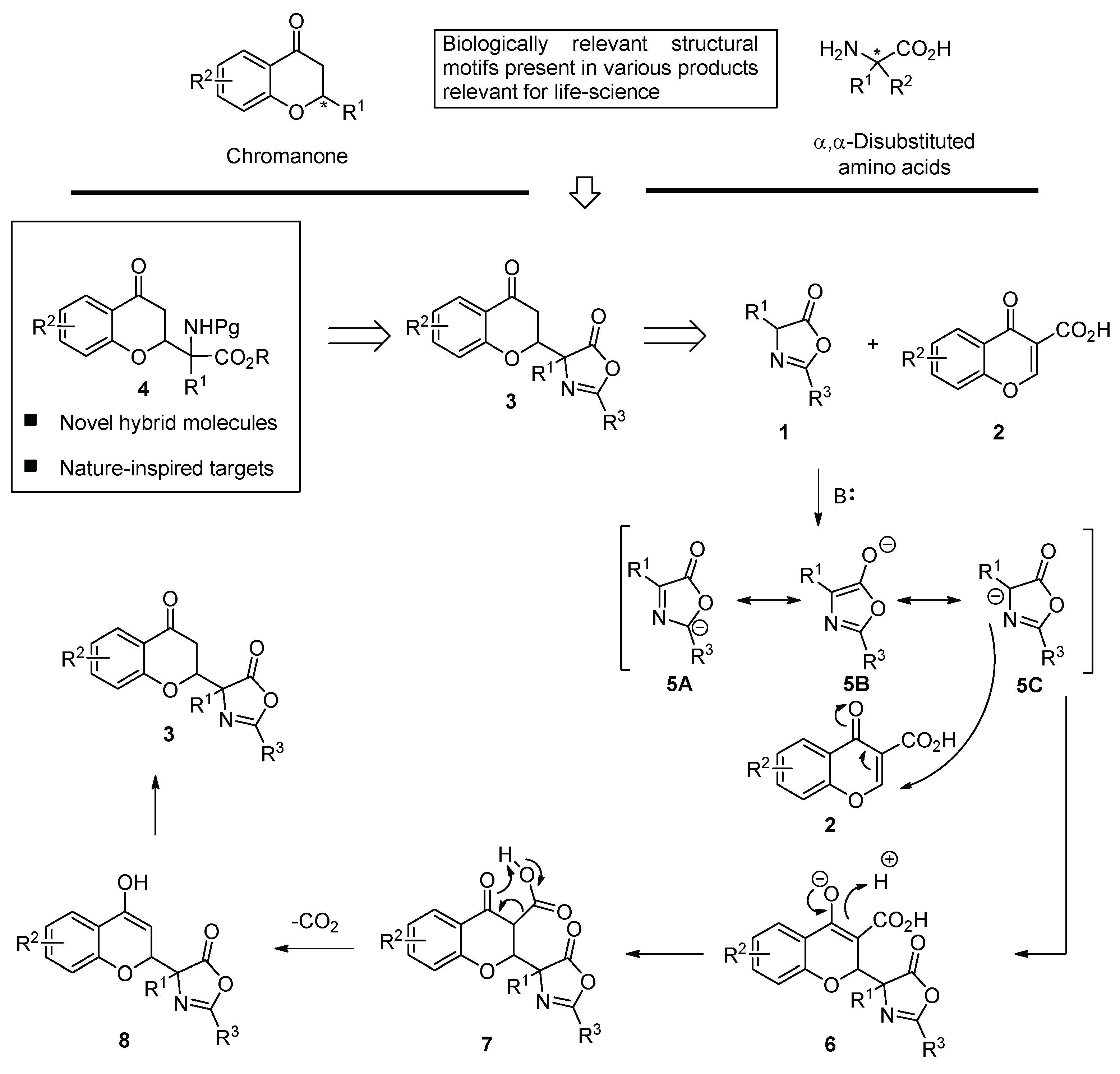 Molecules 24 02565 sch002 Molecules 24 02565 sch002