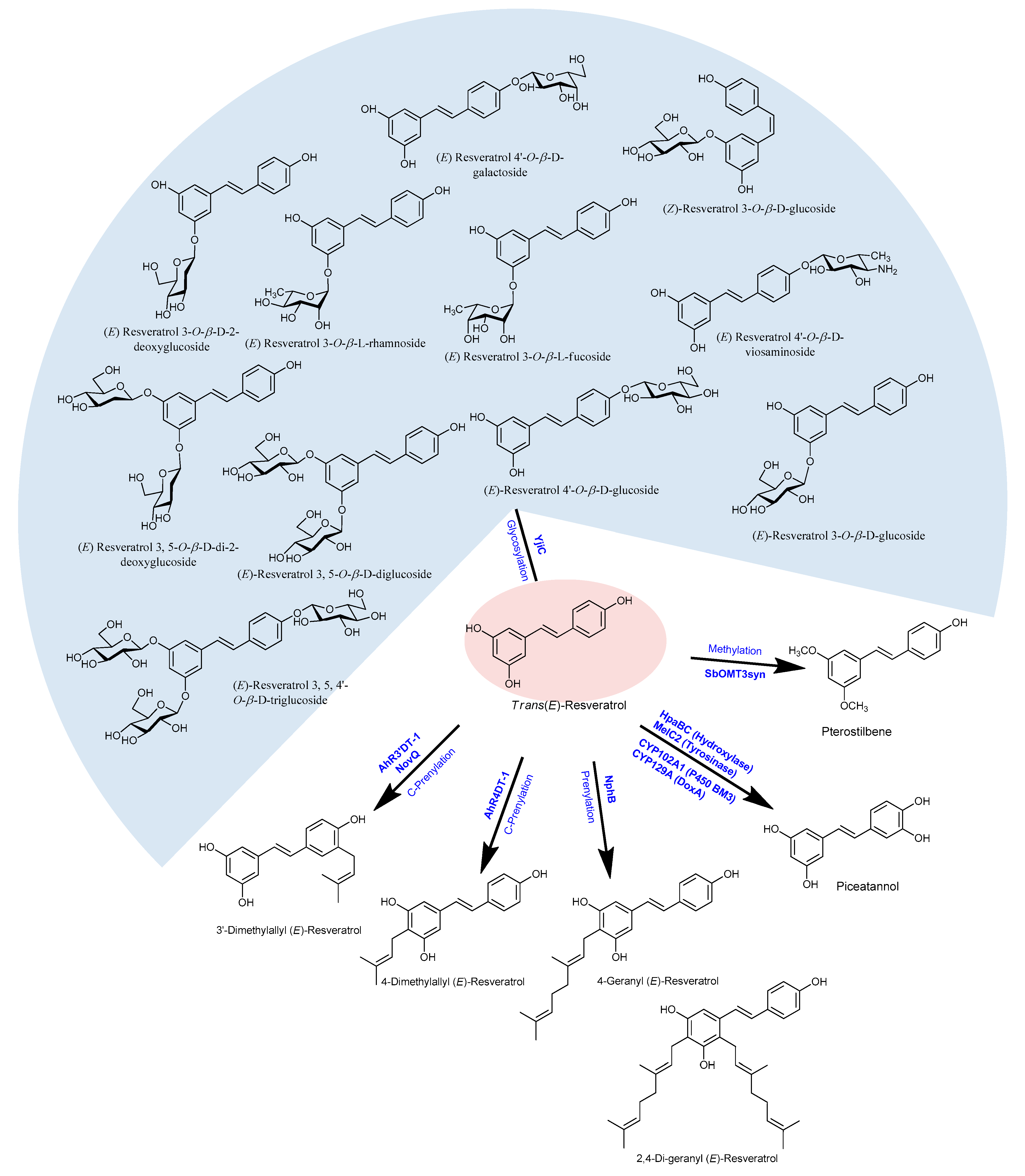 Molecules 24 02571 g003