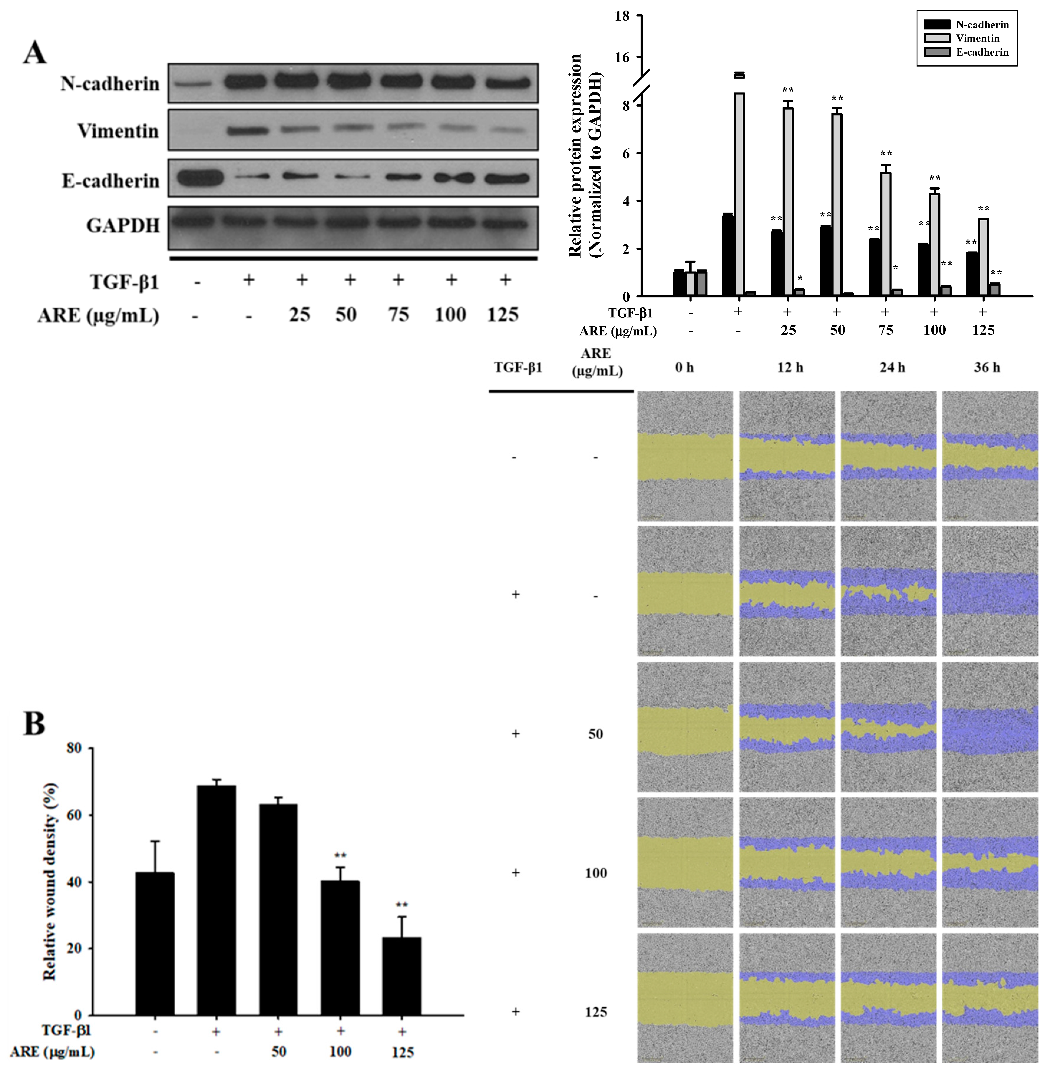 Molecules 24 02573 g001