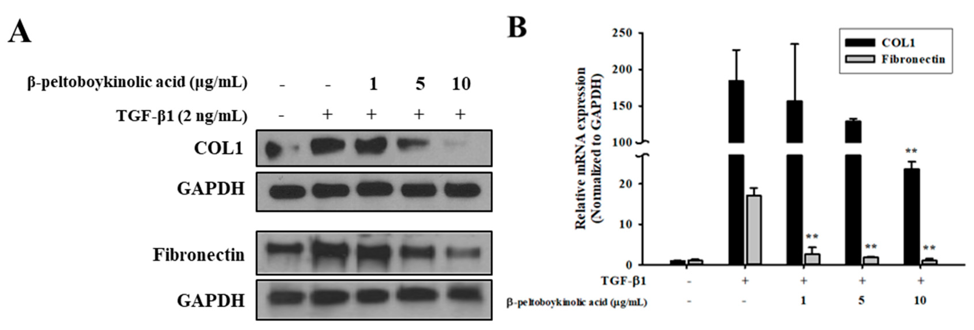 Molecules 24 02573 g005