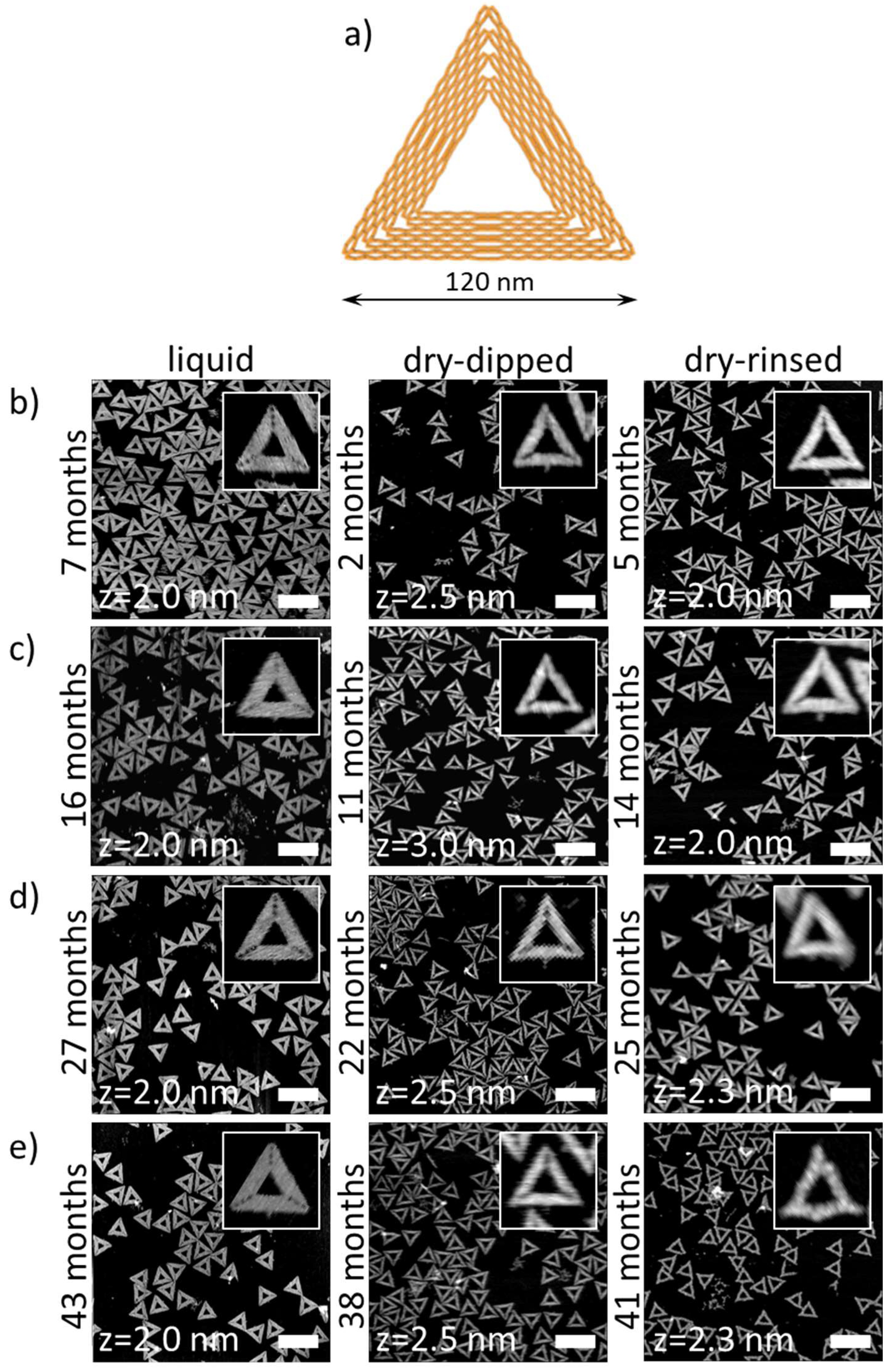 Molecules 24 02577 g001 Molecules 24 02577 g001