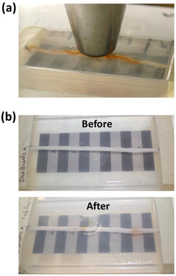 Molecules 24 02588 g0a1