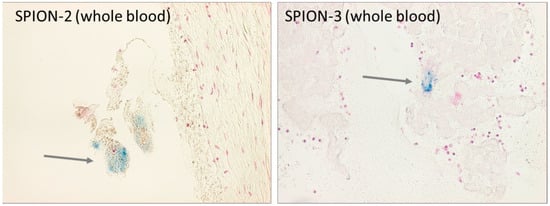 Molecules 24 02588 g0a3