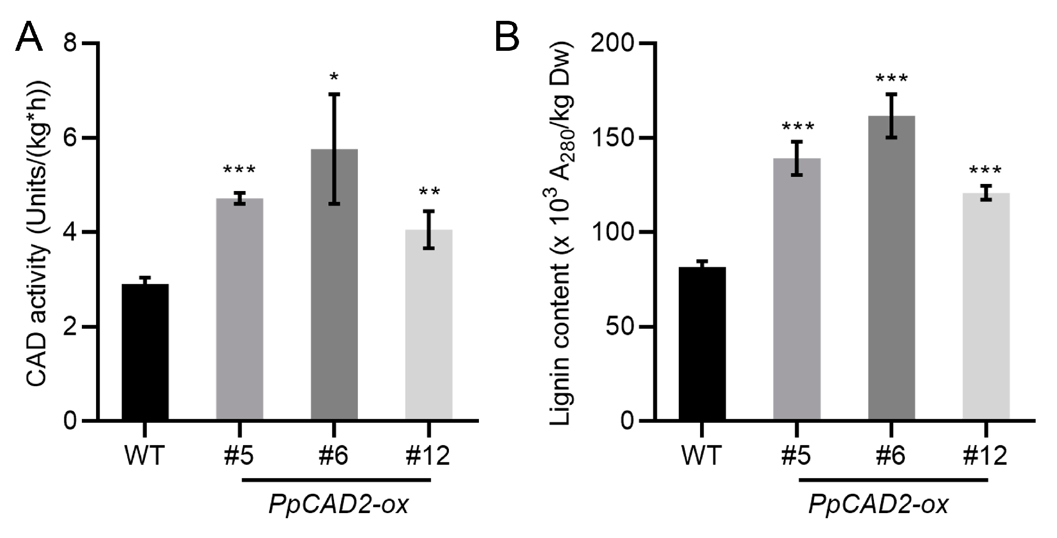 Molecules 24 02595 g003