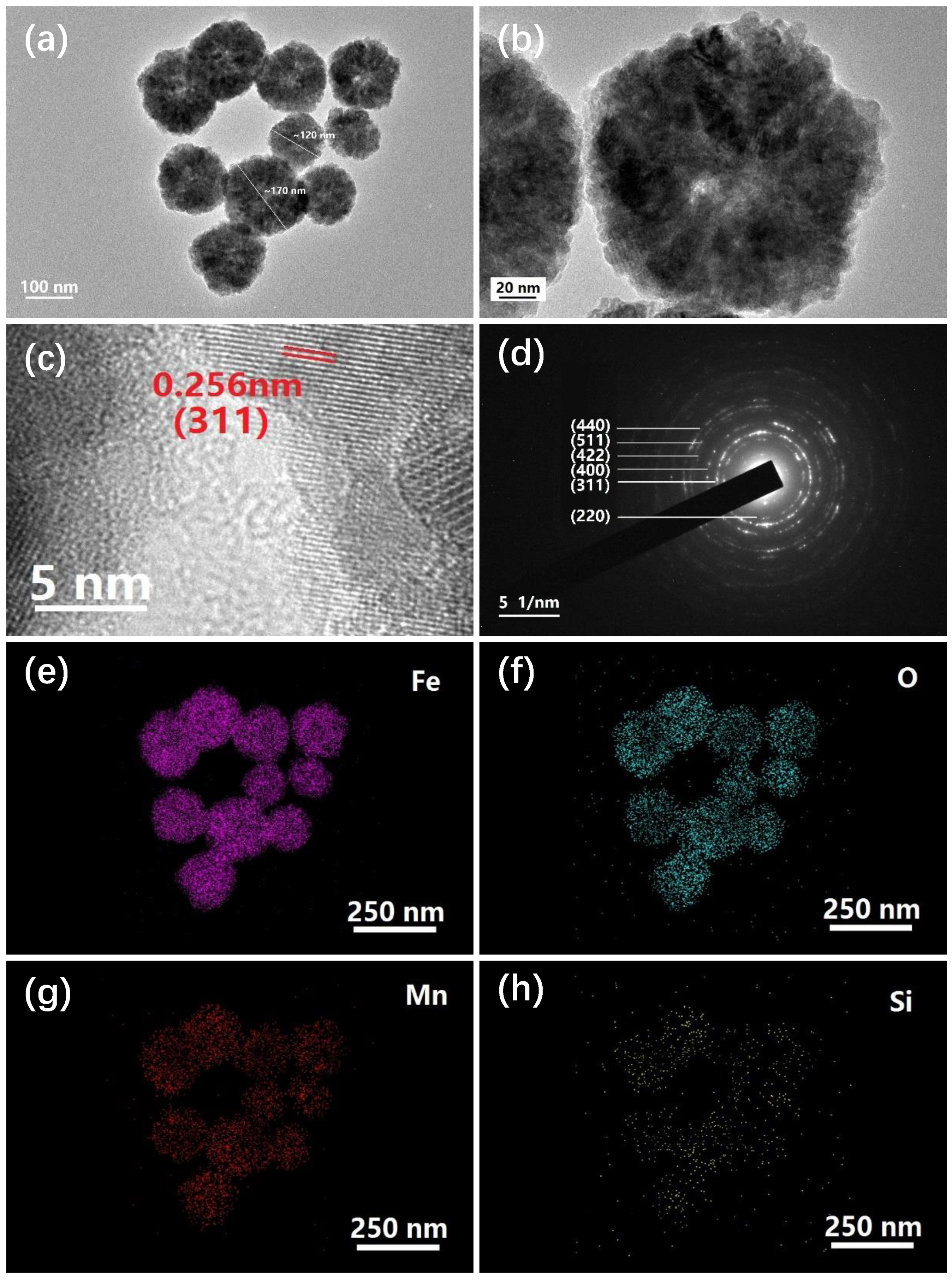 Molecules 24 02605 g003