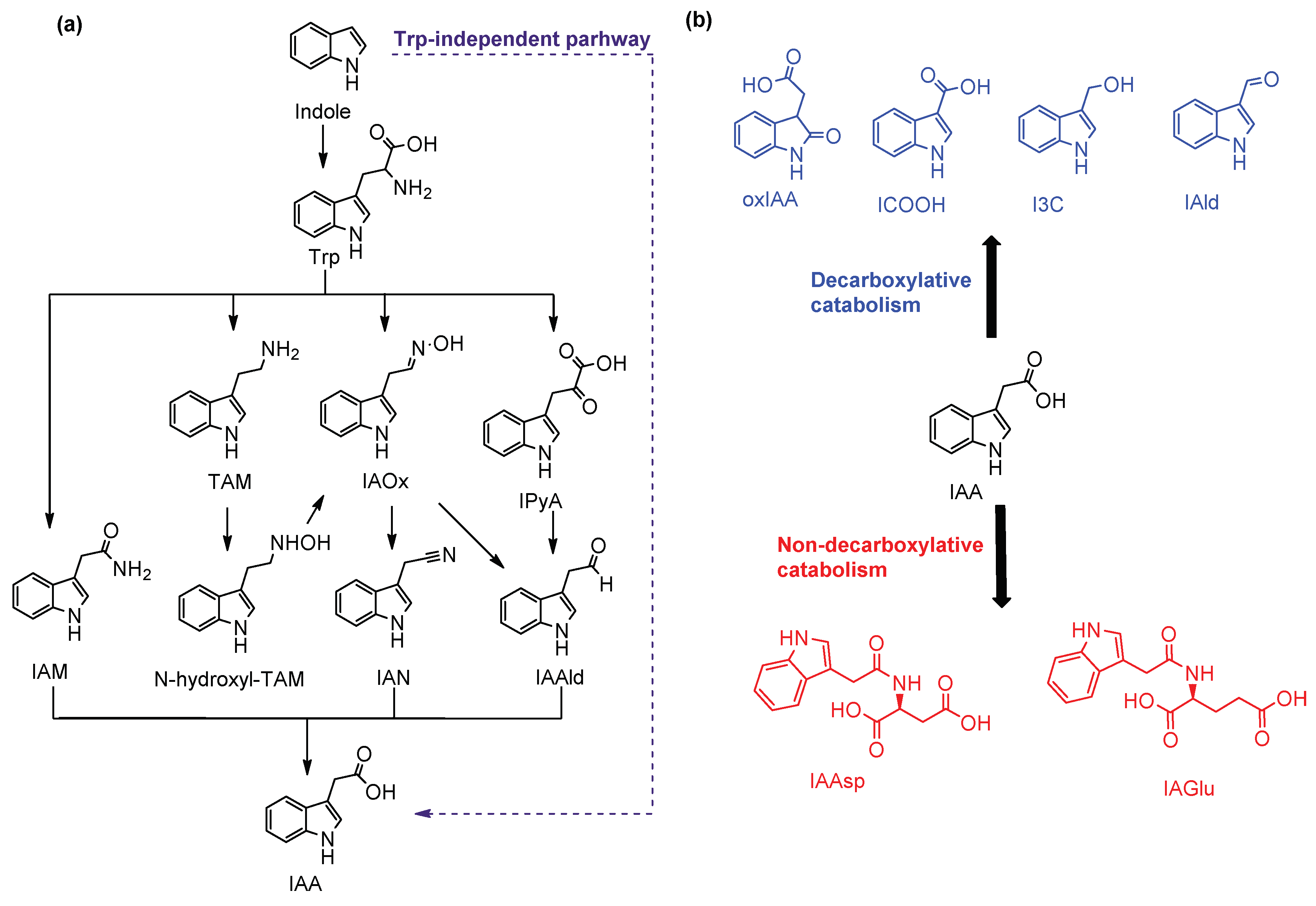 Molecules 24 02615 g001