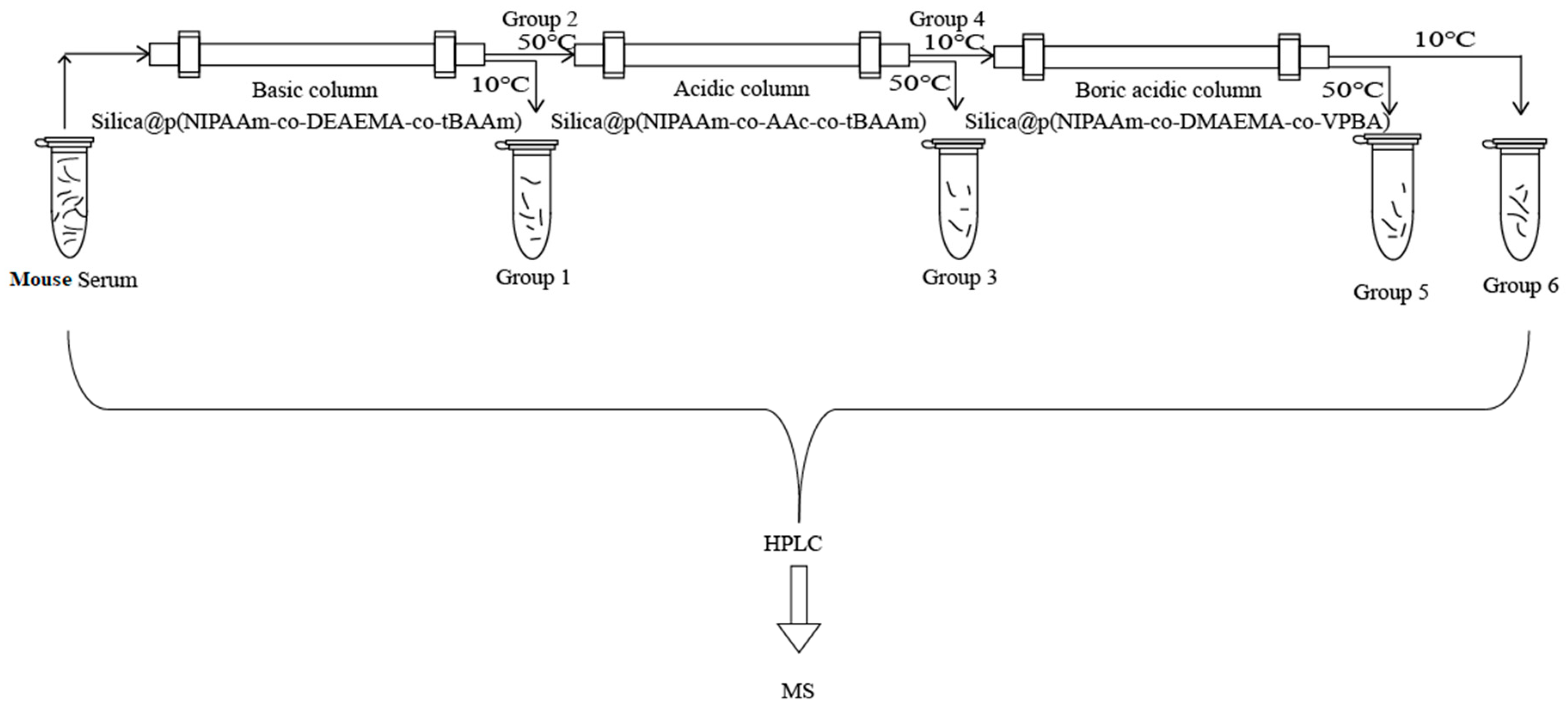 Molecules 24 02626 g008