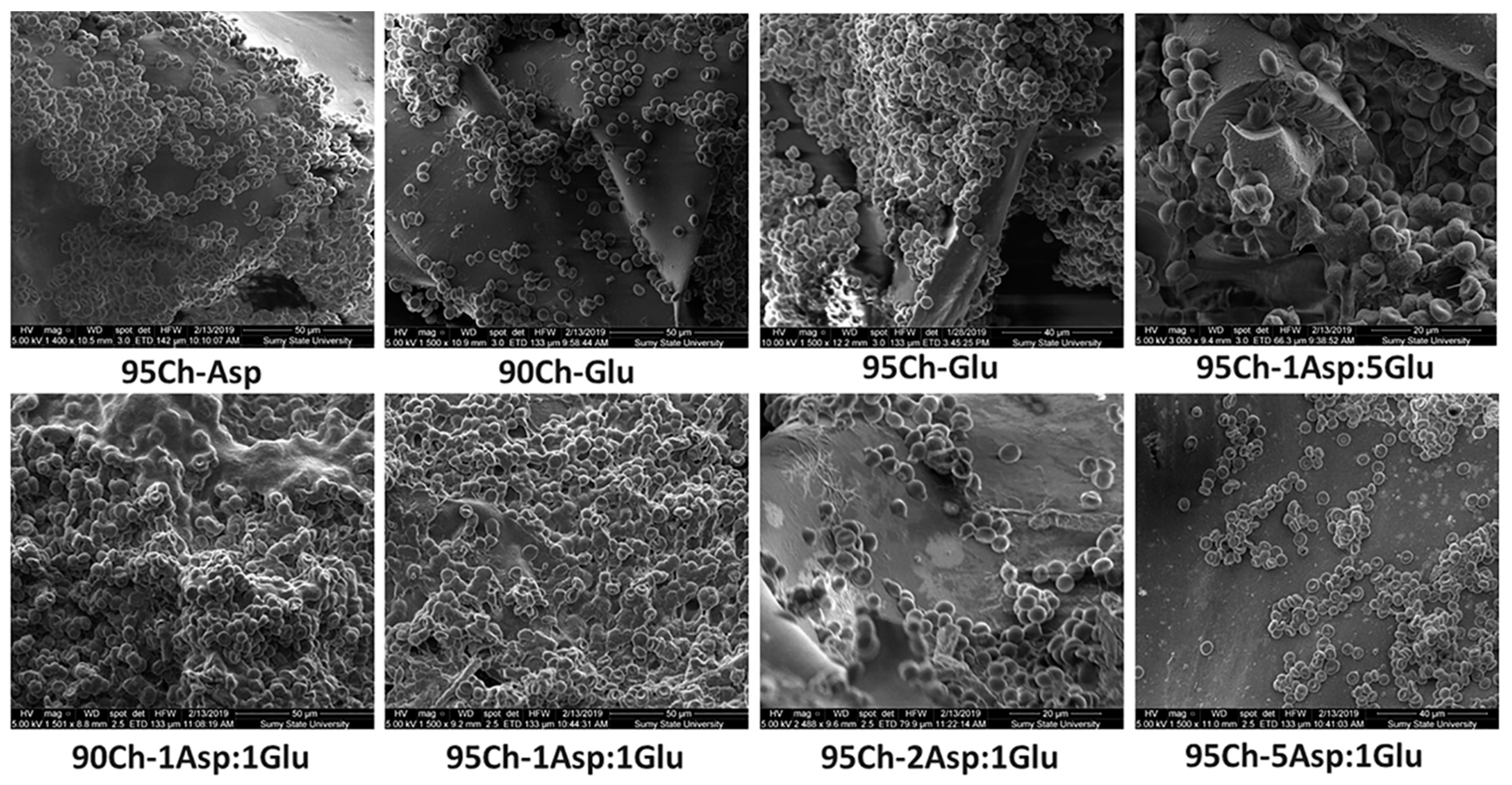 Molecules 24 02629 g009