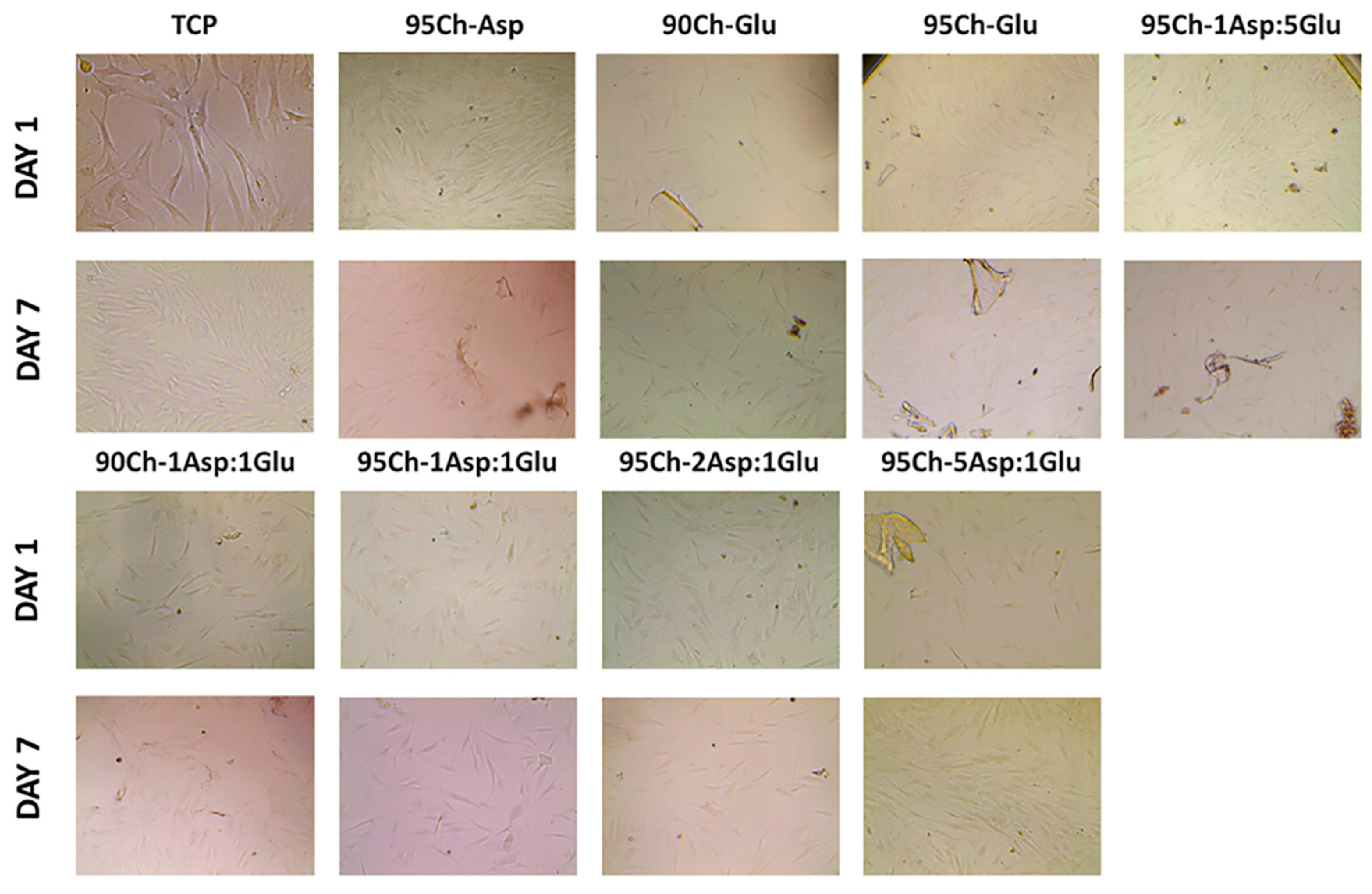 Molecules 24 02629 g010