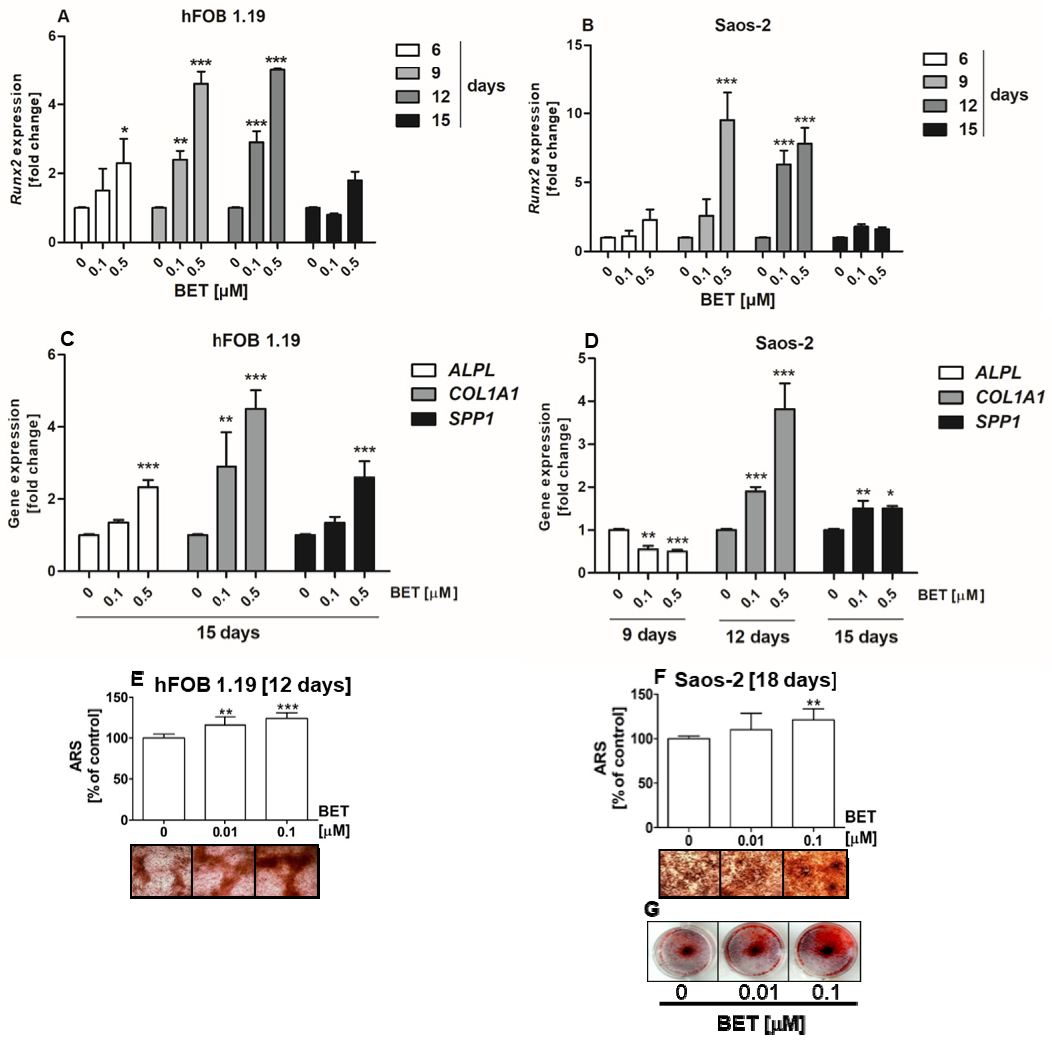 Molecules 24 02637 g004