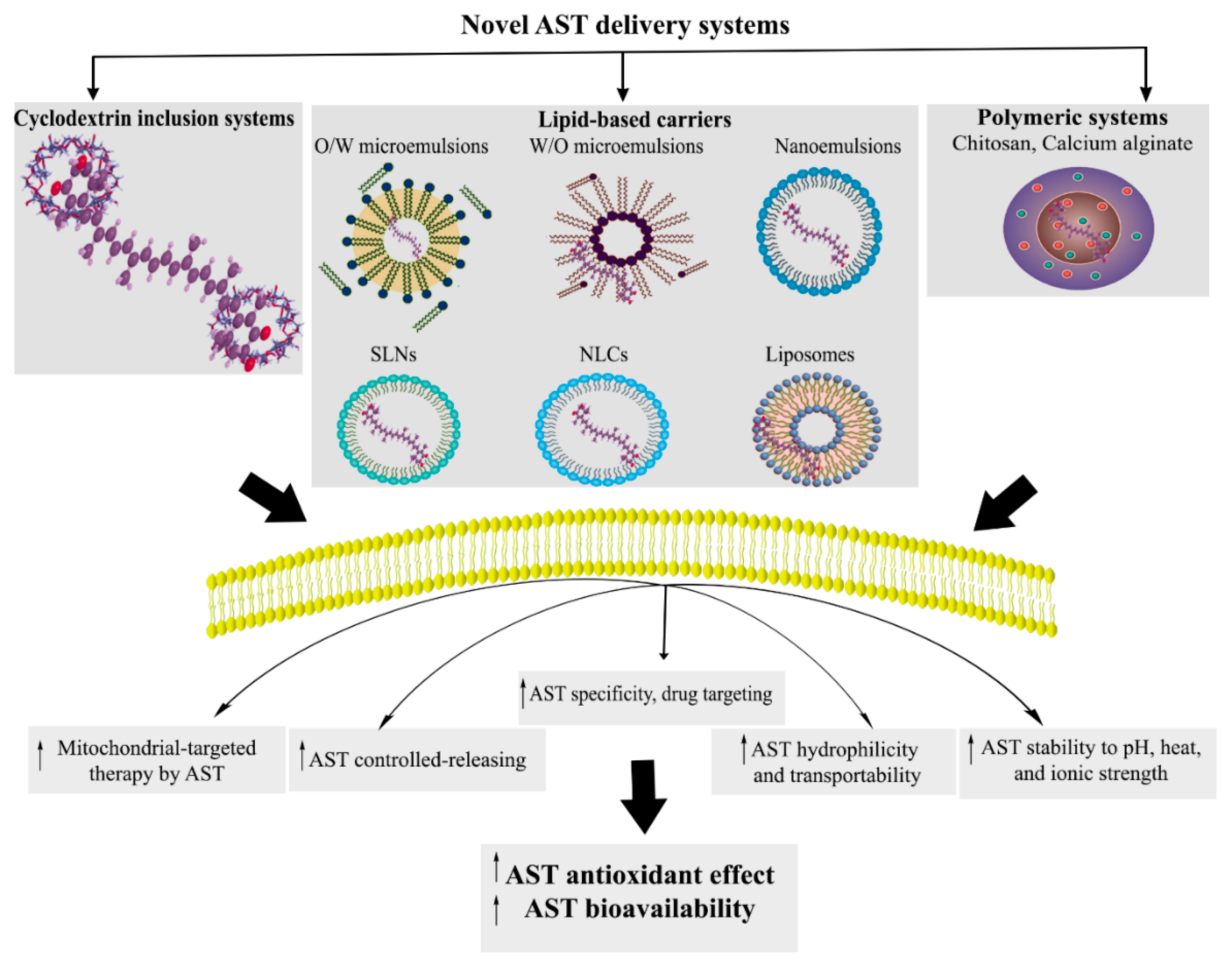 Molecules 24 02640 g003