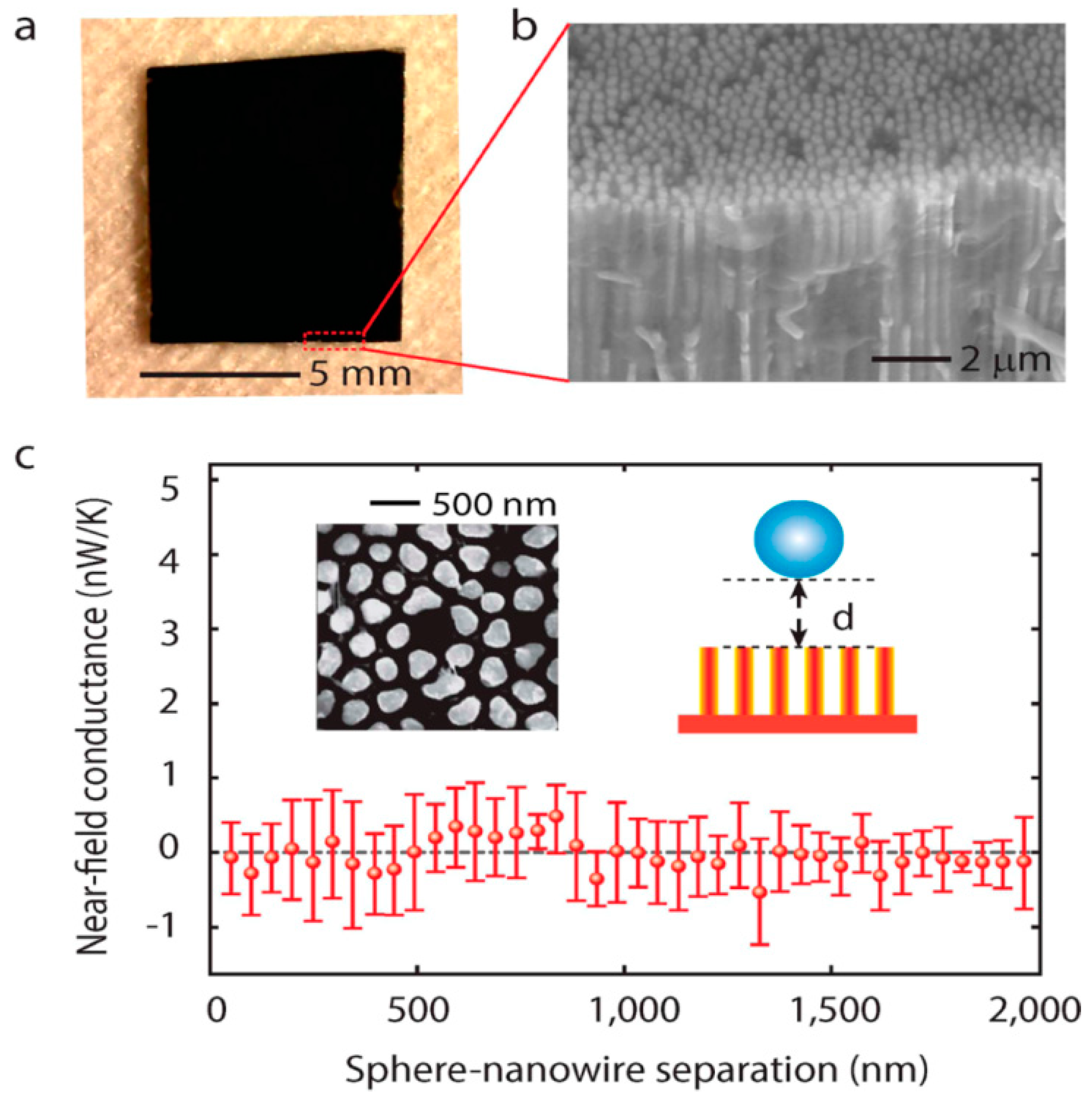 Molecules 24 02651 g003