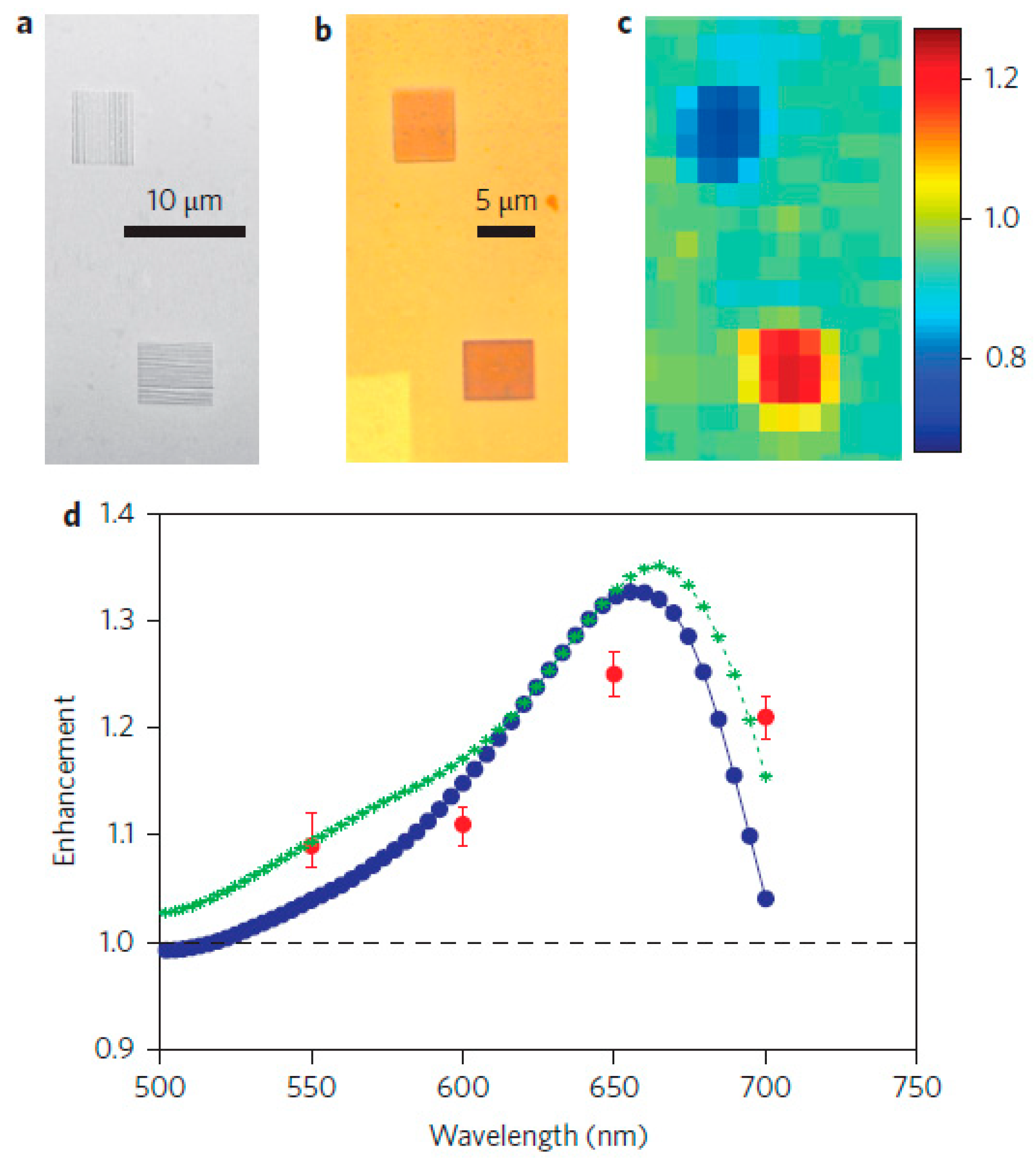 Molecules 24 02651 g006