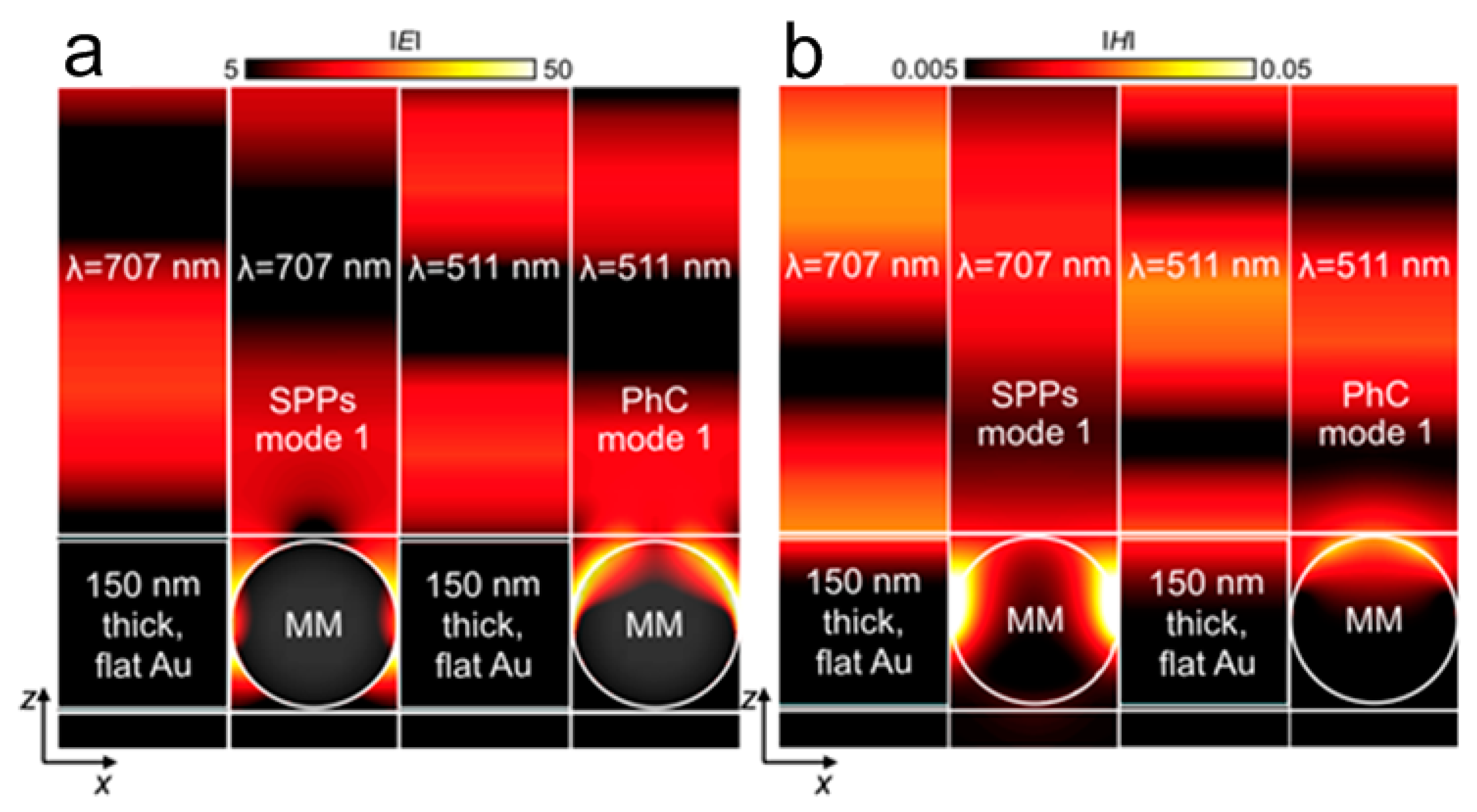 Molecules 24 02651 g007