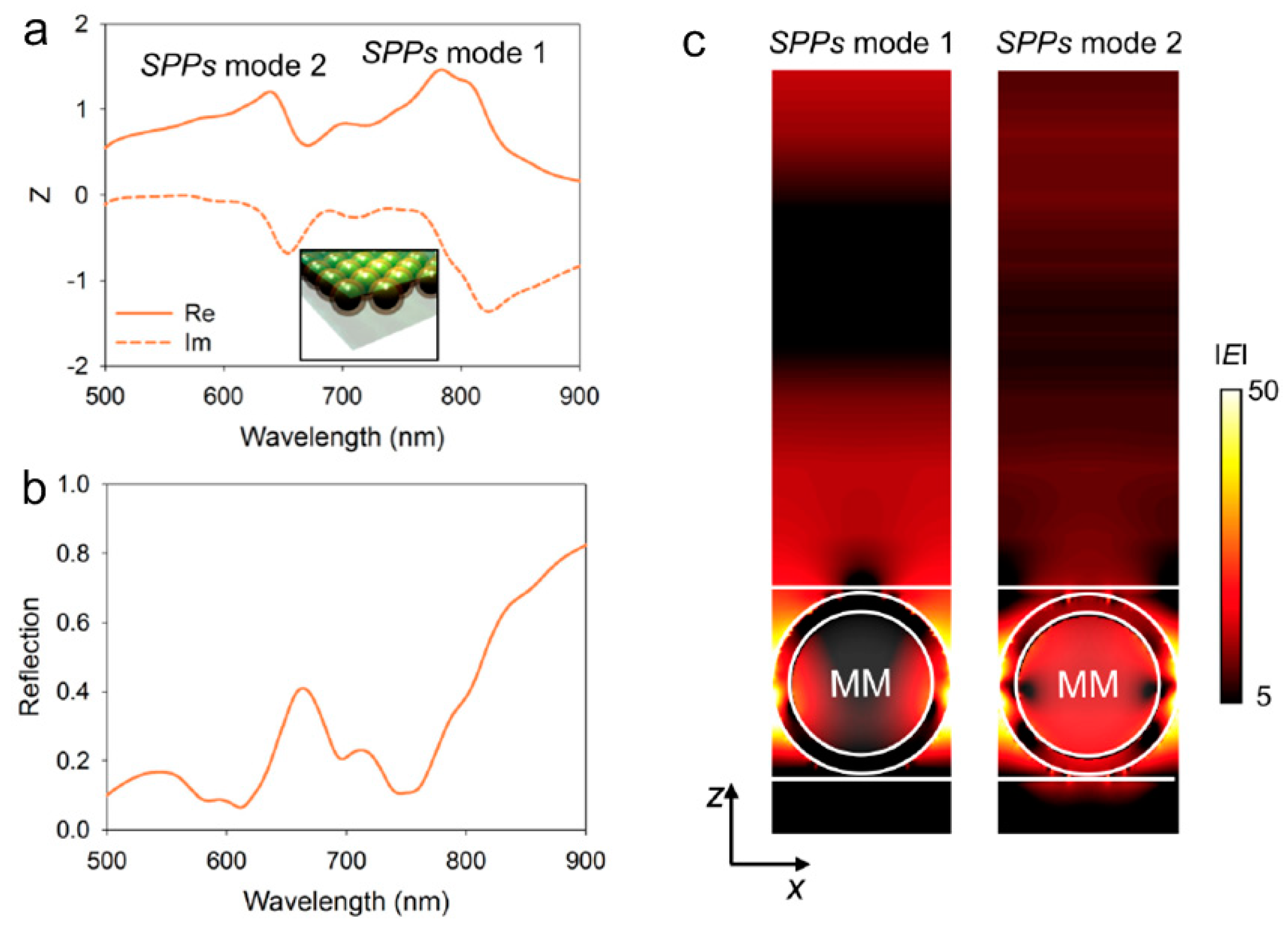 Molecules 24 02651 g008