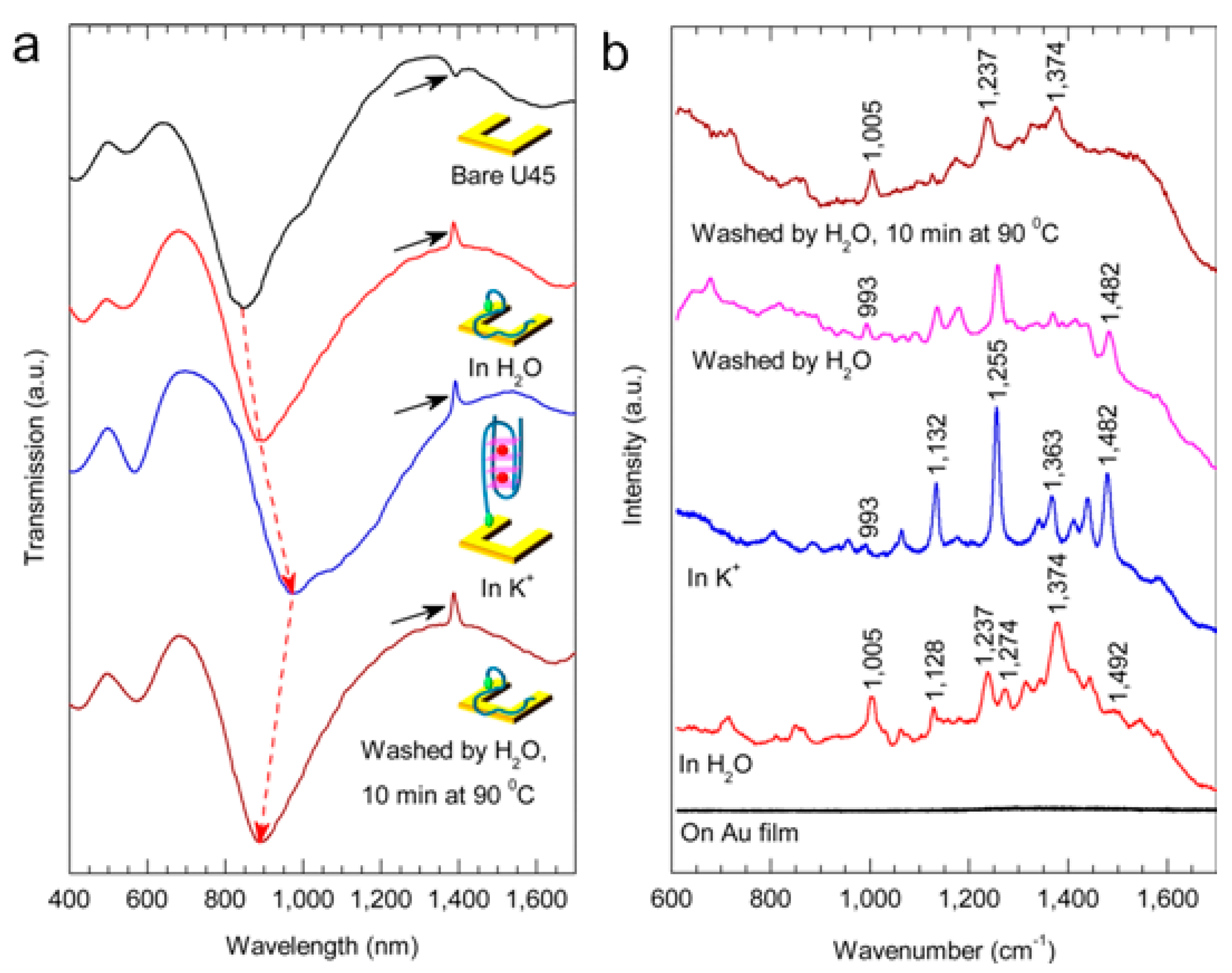 Molecules 24 02651 g010